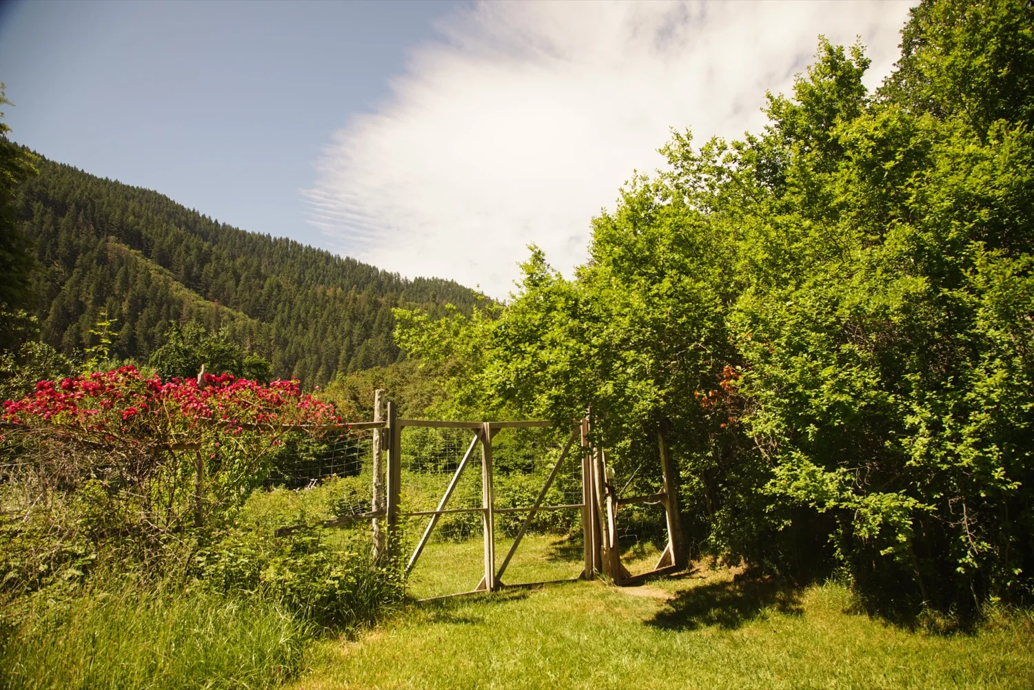 The Garden Gates (1).jpg