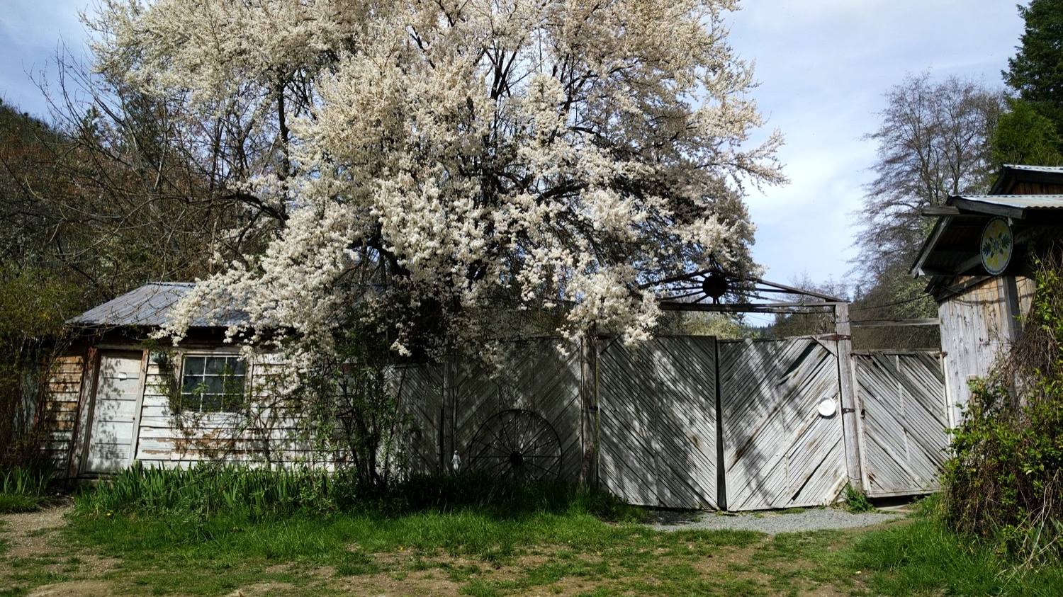 scaled.IMG_20170401_141502.jpg