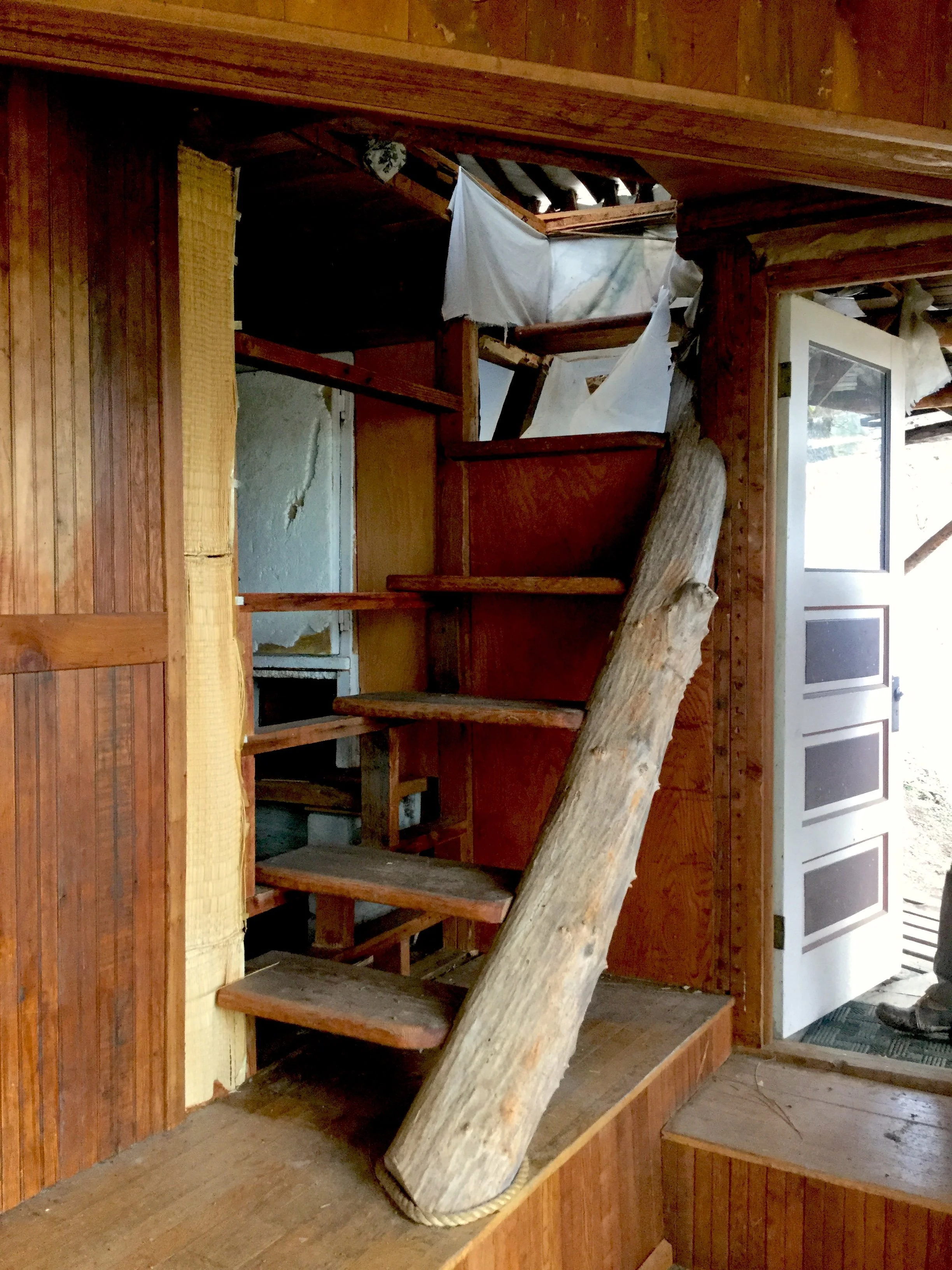 gompa sol stairs.JPG