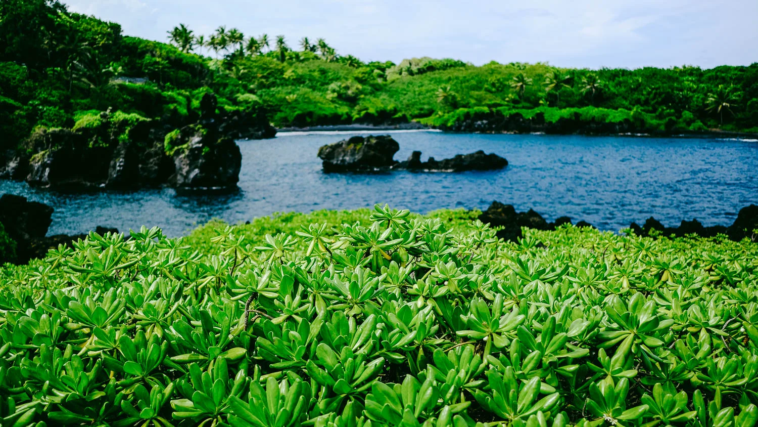 Waianapanapa State Park on the Road to Hana