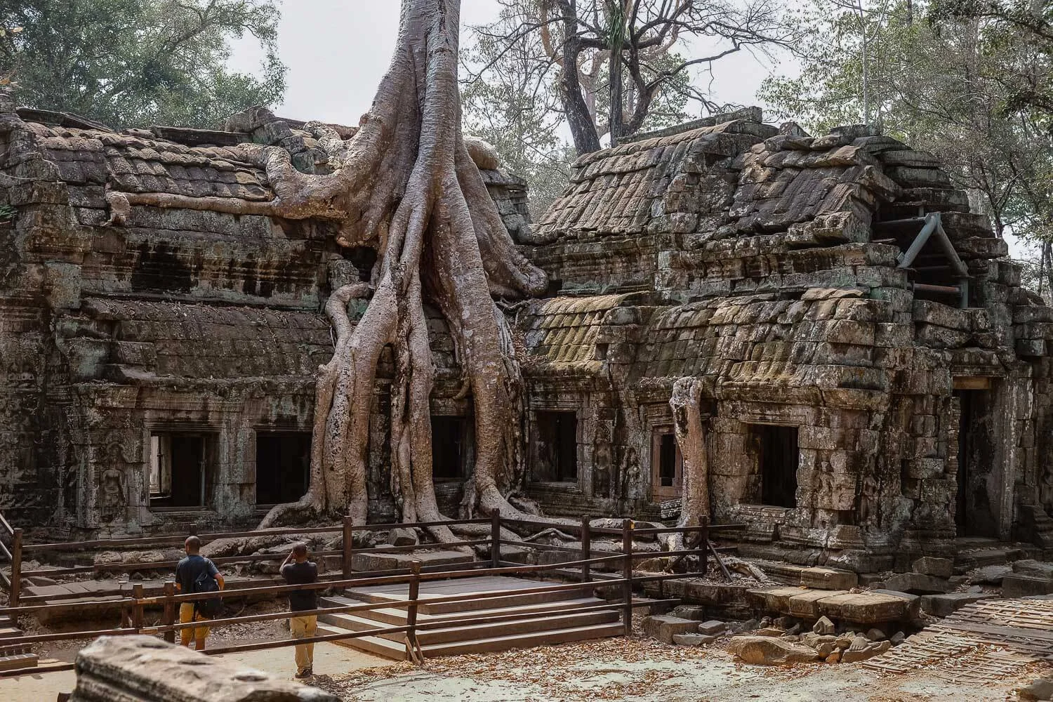 The iconic temple of Ta Prohm. Where jungle emerges with the temple, Siem Reap. Travel photography and guide by © Natasha Lequepeys for "And Then I Met Yoko". #siemreap #angkorwat #taprohm #travelguide #travelblog #travelitinerary #itinerary #siemreapitinerary #seasia #cambodia #travelcambodia #travelsiemreap #photoblog #travelblogger #travelphotography #landscapephotography #fujifilm #temples #siemreapprivatetour #atv