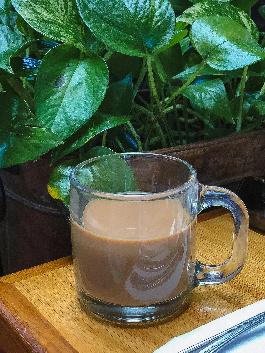 Chai tea from Dushanbe Teahouse, Boulder.