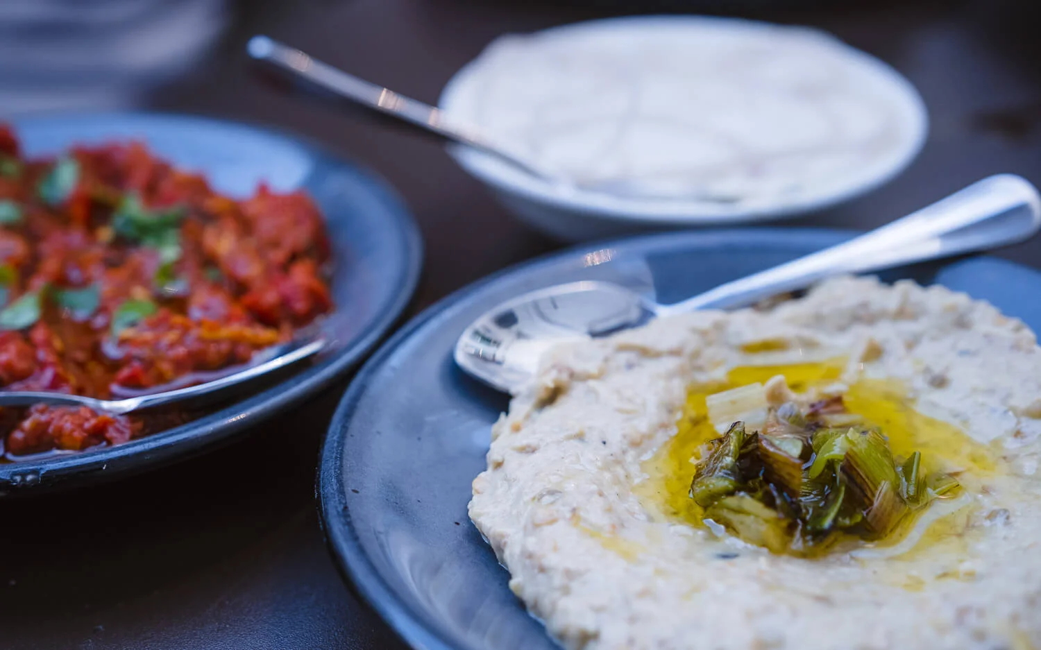 Salatim with Lutenitsa, Baba Ganoush and Lebneh