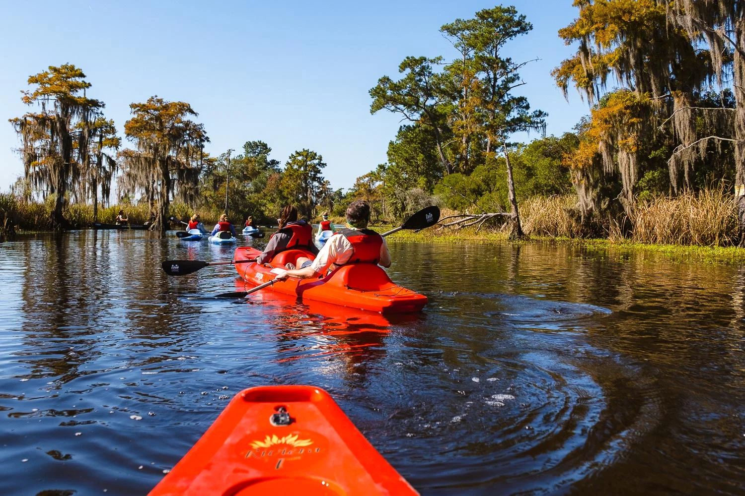 Kayaking on the Cane Bayou, New Orleans. Travel photography and guide by © Natasha Lequepeys for "And Then I Met Yoko". #neworleans #nola #travelguide #photoblog #travelblog #travelphotography #travelitinerary #fujifilm #usa #visitnola #weekendgetaway #travel #neworleans3dayitinerary #nature #kayaking #outdoors #getoutdoors #kayak #canebayou #bayou
