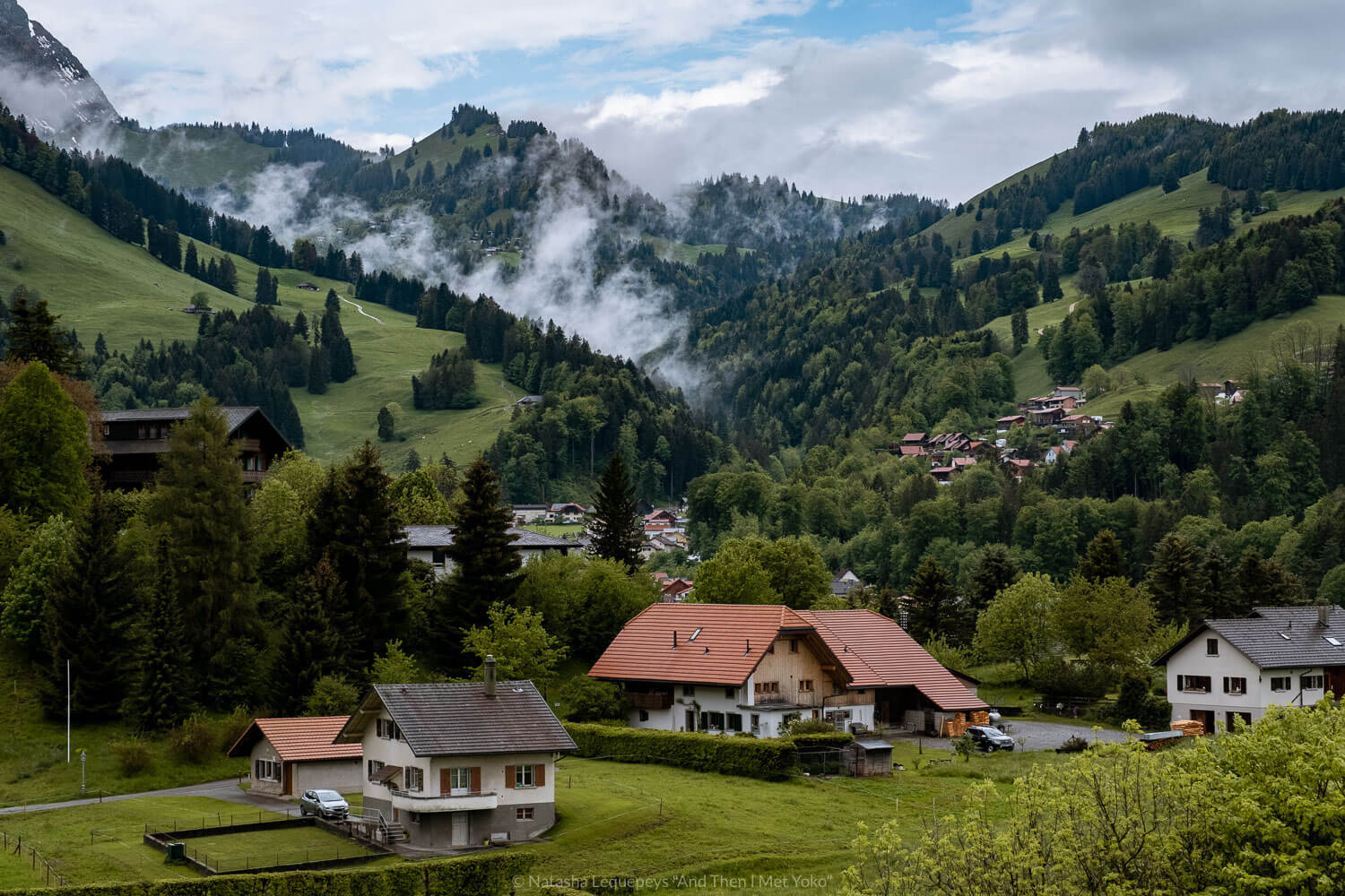 Vallée de la Jogne (Gruyère, Switzerland), Au premier plan:…