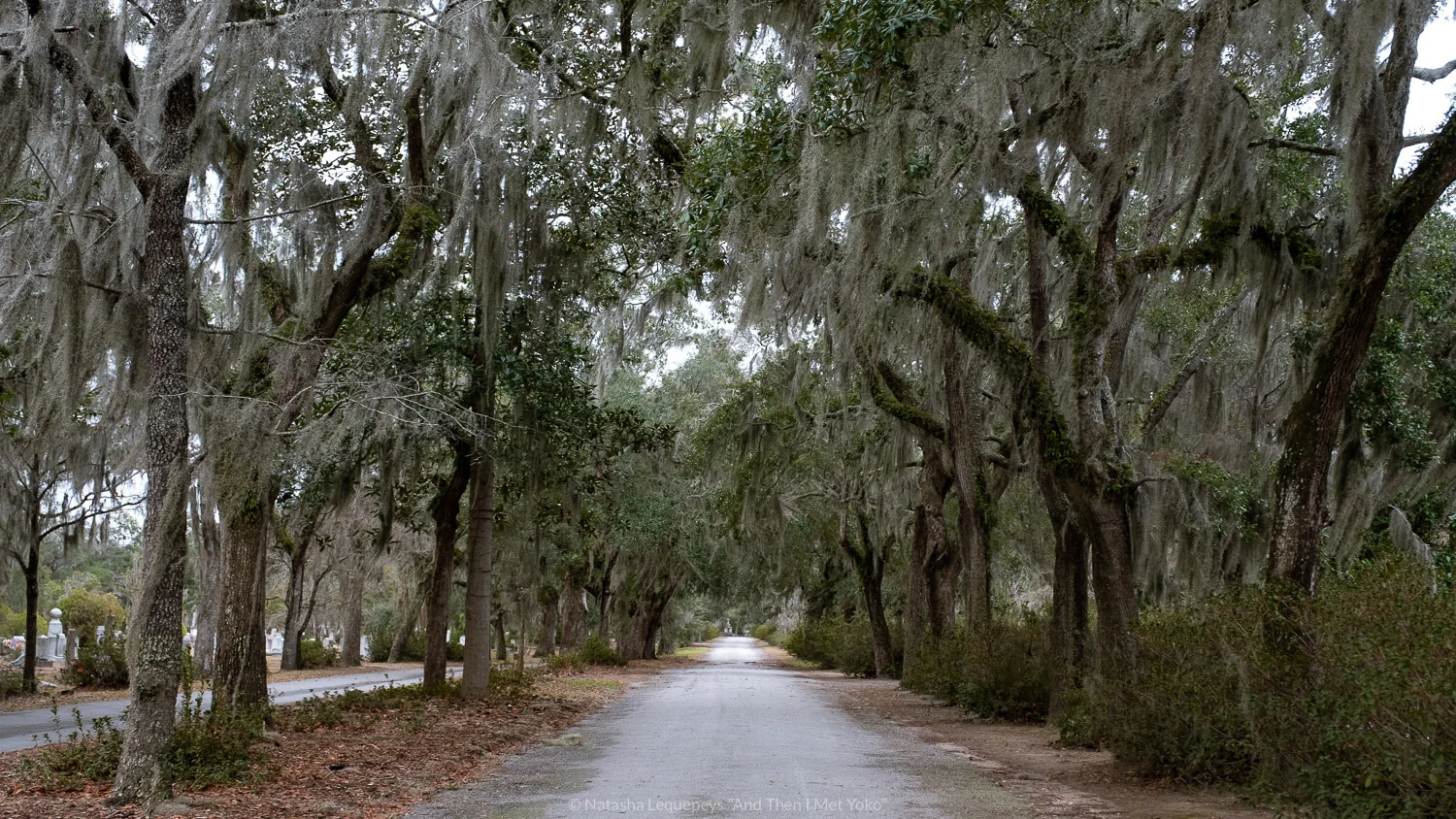A helpful travel guide and itinerary for a weekend in Savannah, Georgia. This guide includes a list of fun activities, the best restaurants, accommodation and stylish boutiques. Travel photography and guide by © Natasha Lequepeys for "And Then I Met Yoko". #savannah #usa #travelphotography #travelguide #travelblog