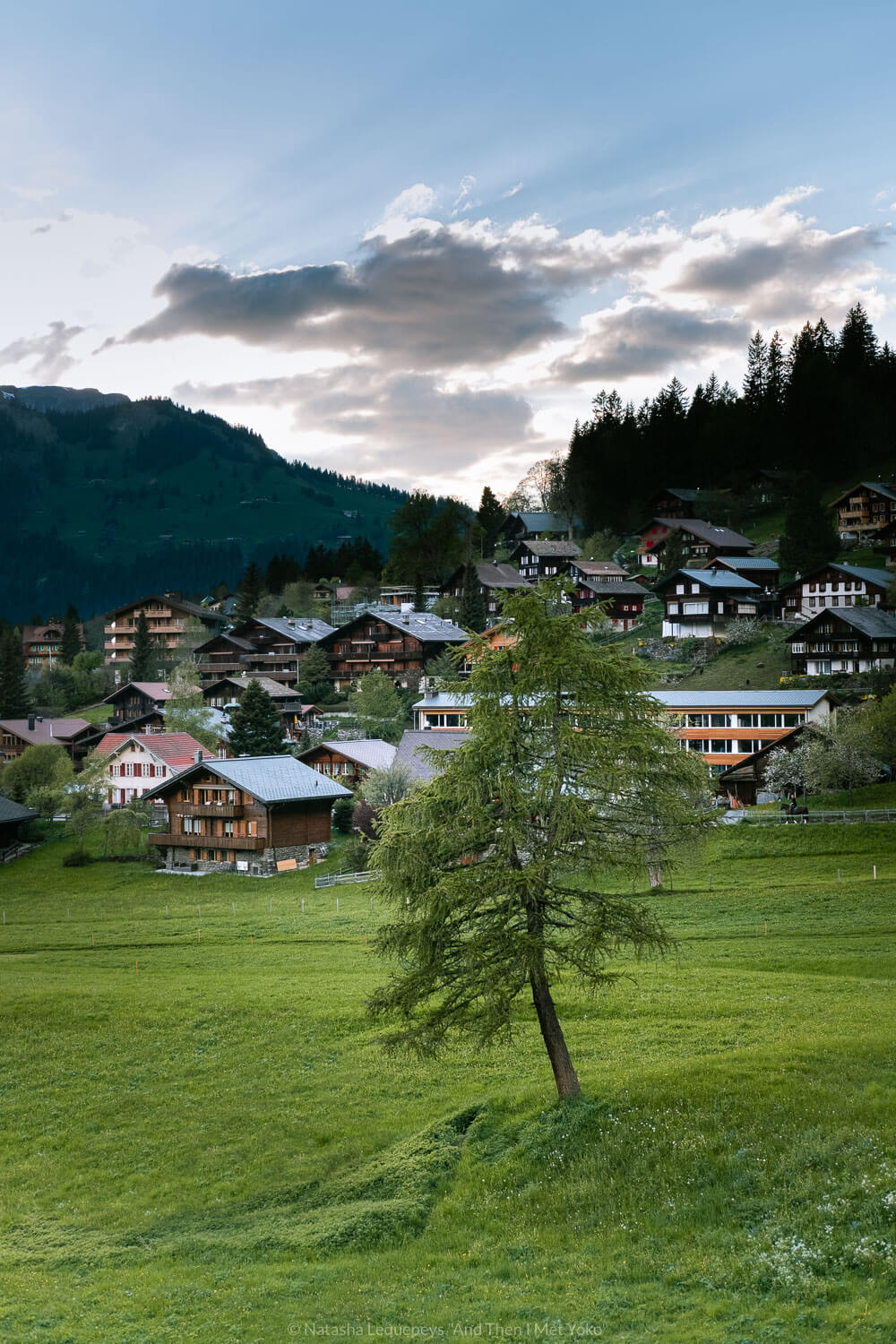 The village of Wengen, Switzerland. Travel photography and guide by © Natasha Lequepeys for "And Then I Met Yoko". #wengen #switzerland #jungfrau #travelphotography #fujifilm
