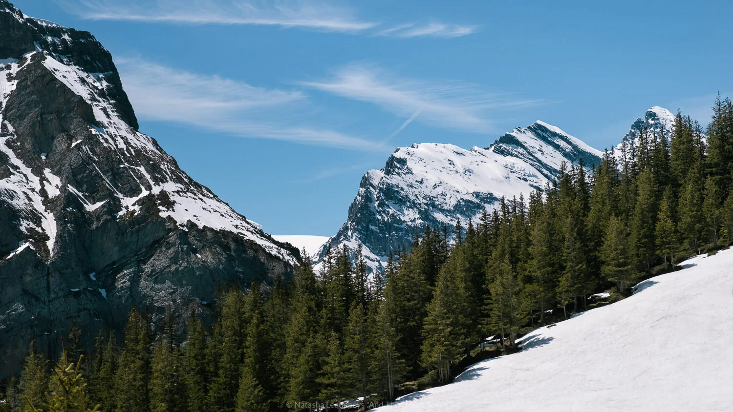 Alpine view on the hike from Wengen to Kleine Scheidegg. Travel photography and guide by © Natasha Lequepeys for "And Then I Met Yoko". #wengen #jungfrau #travelphotography #switzerland