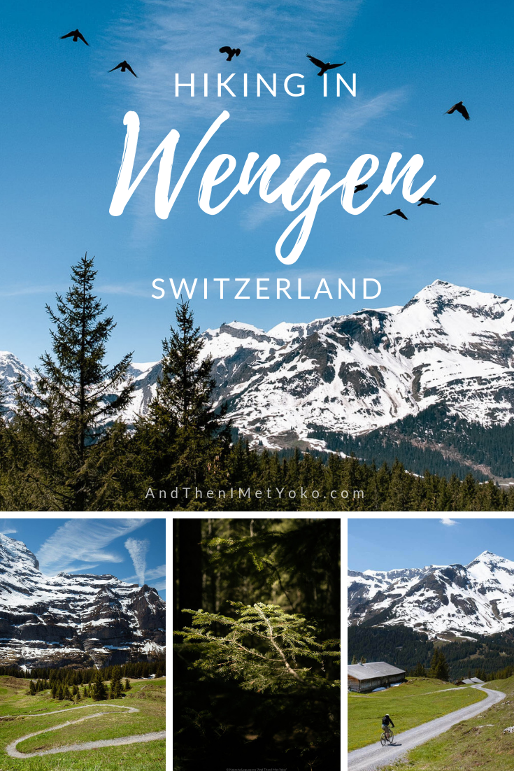 A photographic travel guide to hiking from Wengen to Kleine Scheidegg. Travel photography and guide by © Natasha Lequepeys for "And Then I Met Yoko". #wengen #jungfrau #travelphotography #switzerland