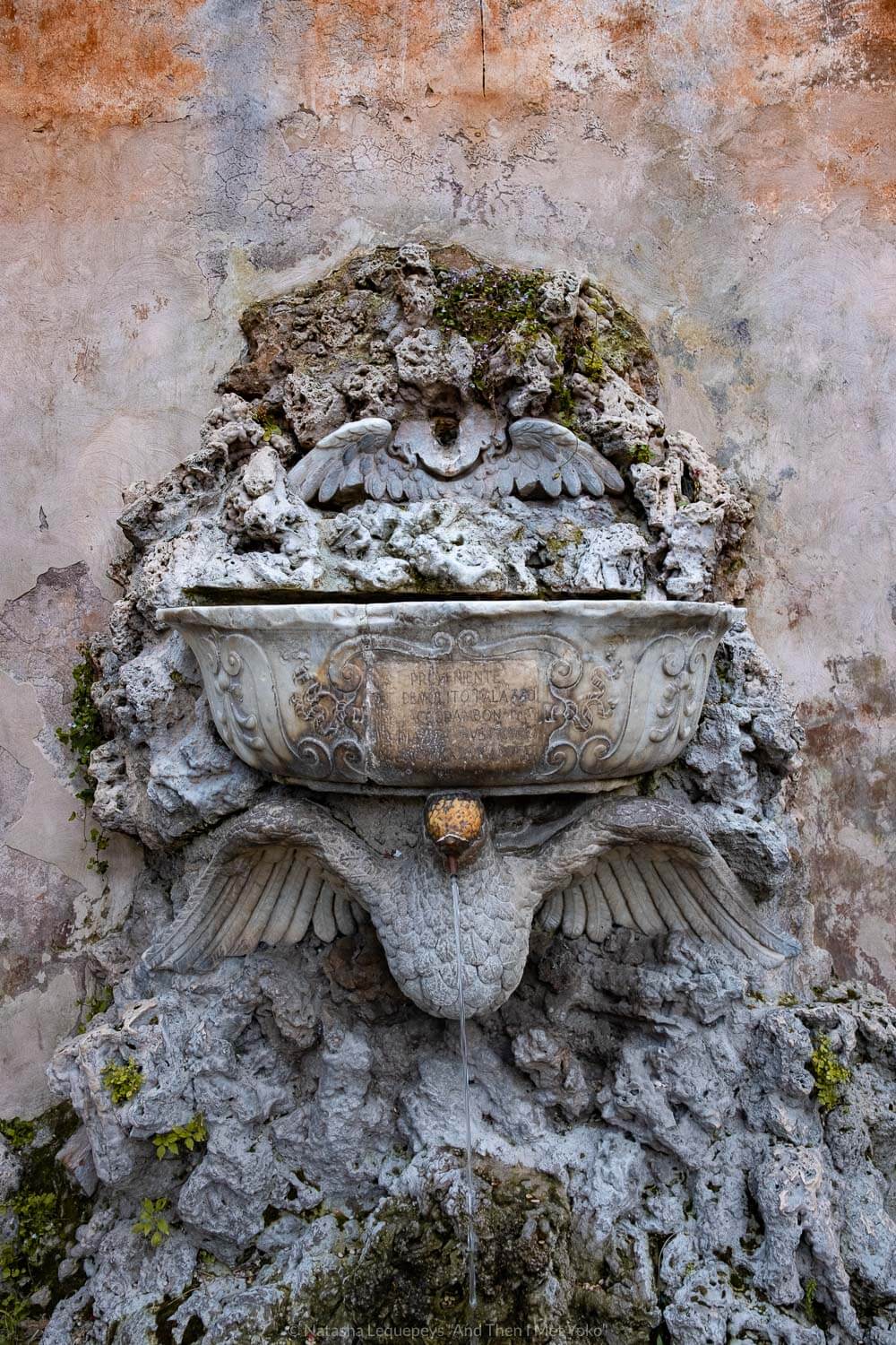 Water fountain in the Orange Garden in Rome, Italy. Travel photography and guide by © Natasha Lequepeys for "And Then I Met Yoko". #rome #italy #travelblog #travelphotography