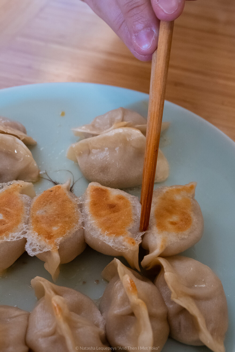 Fried dumplings from QXY Dumplings in Chinatown Chicago, USA. Travel photography and guide by © Natasha Lequepeys for "And Then I Met Yoko". #chicago #usa #travelblog #travelphotography