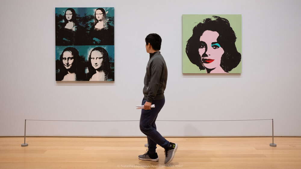 Andy Warhol paintings at the Art Institute of Chicago, USA. Travel photography and guide by © Natasha Lequepeys for "And Then I Met Yoko". #chicago #usa #travelblog #travelphotography