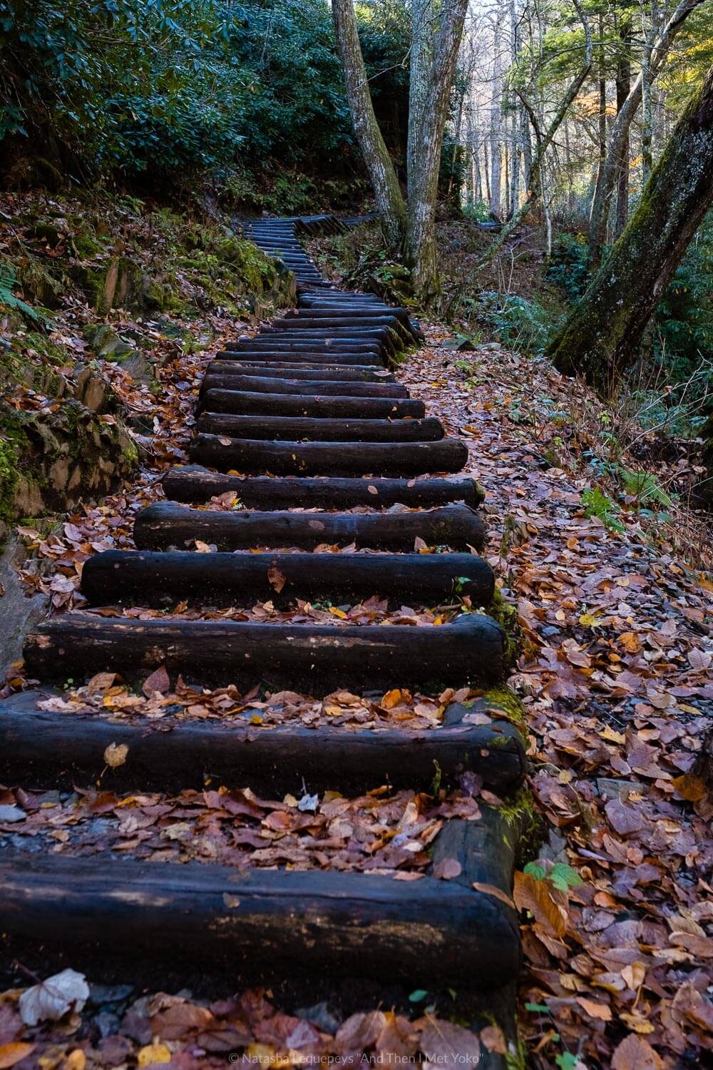 Chimney Tops trail, The Great Smoky Mountains. Travel photography and guide by © Natasha Lequepeys for "And Then I Met Yoko". #smokymountains #usa #travelblog #travelphotography