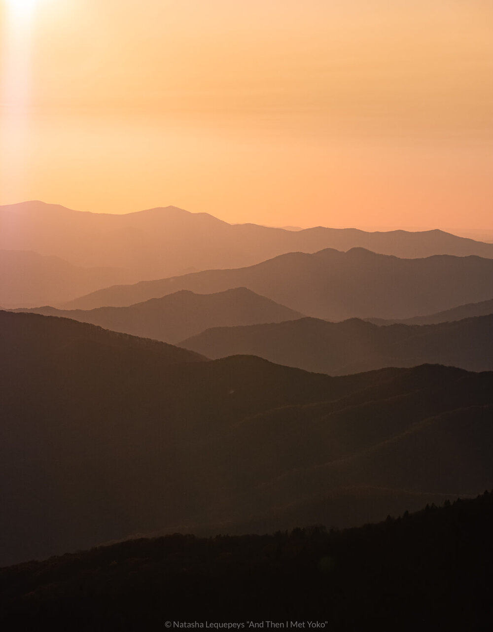 Clingmans Dome at sunset, The Great Smoky Mountains. Travel photography and guide by © Natasha Lequepeys for "And Then I Met Yoko". #smokymountains #usa #travelblog #travelphotography