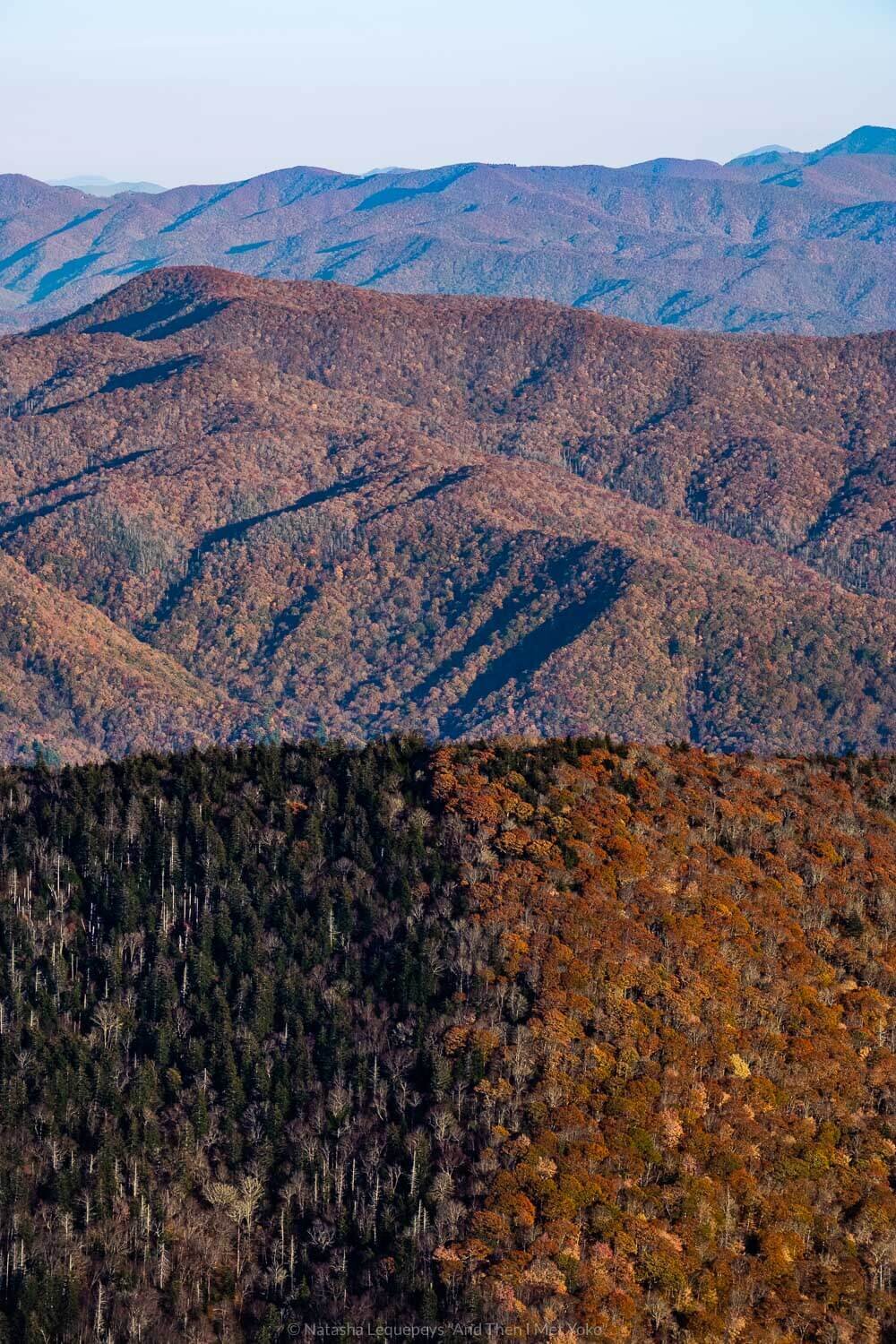 Clingmans Dome, The Great Smoky Mountains. Travel photography and guide by © Natasha Lequepeys for "And Then I Met Yoko". #smokymountains #usa #travelblog #travelphotography