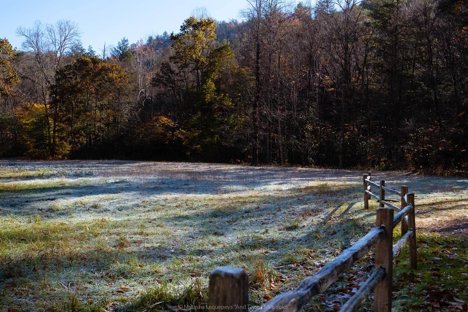 Cataloochee Valley at dusk, The Great Smoky Mountains. Travel photography and guide by © Natasha Lequepeys for "And Then I Met Yoko". #smokymountains #usa #travelblog #travelphotography