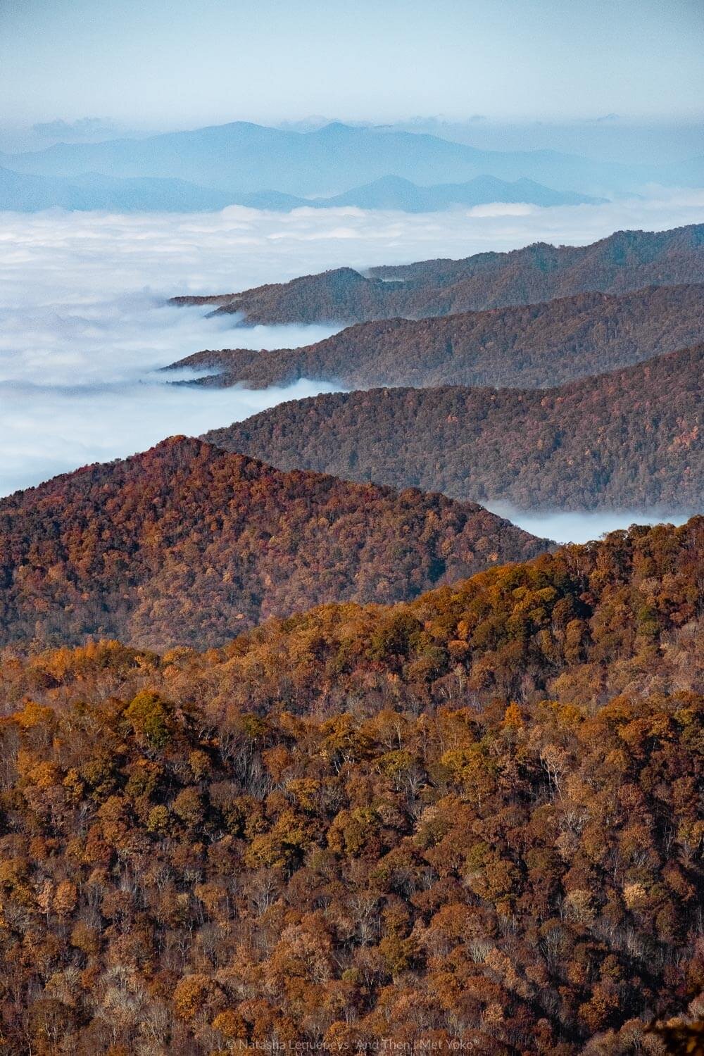 The Great Smoky Mountains. Travel photography and guide by © Natasha Lequepeys for "And Then I Met Yoko". #smokymountains #usa #travelblog #travelphotography