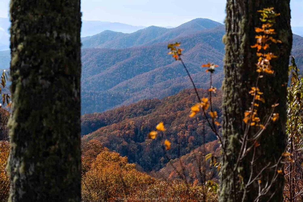 Autumn foliage in The Great Smoky Mountains. Travel photography and guide by © Natasha Lequepeys for "And Then I Met Yoko". #smokymountains #usa #travelblog #travelphotography