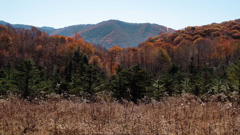 The Great Smoky Mountains. Travel photography and guide by © Natasha Lequepeys for "And Then I Met Yoko". #smokymountains #usa #travelblog #travelphotography