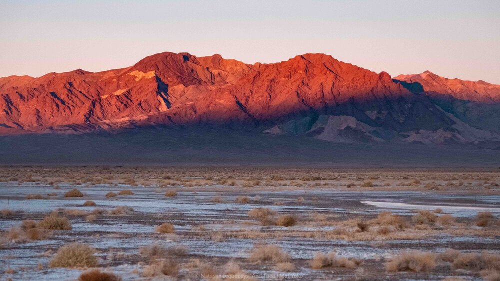 Sunrise in Death Valley - Death Valley, California. Travel photography and guide by © Natasha Lequepeys for "And Then I Met Yoko". #deathvalley #nationalpark #travelblog #travelphotography