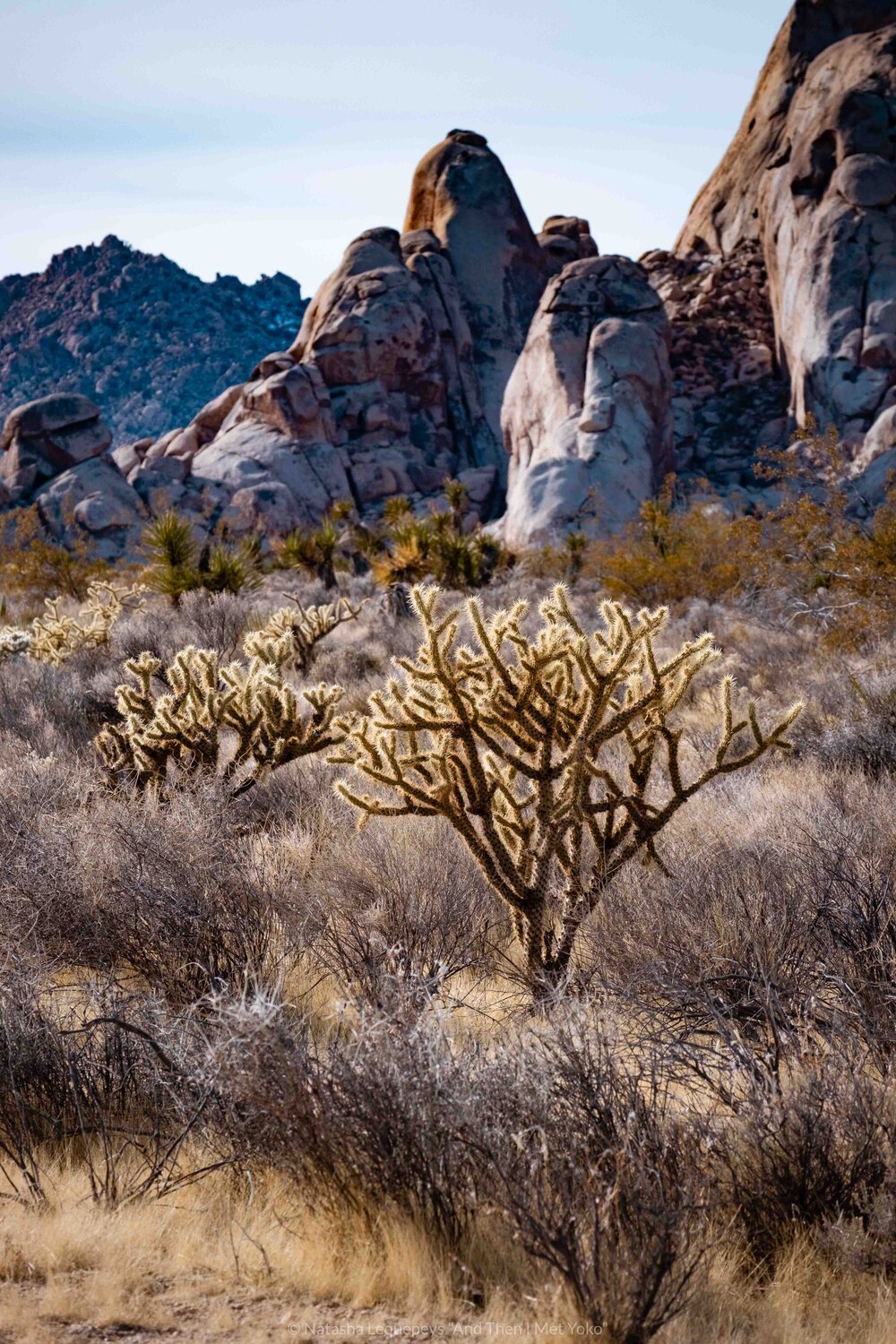 Mojave National Preserve - Death Valley, California. Travel photography and guide by © Natasha Lequepeys for "And Then I Met Yoko". #deathvalley #nationalpark #travelblog #travelphotography