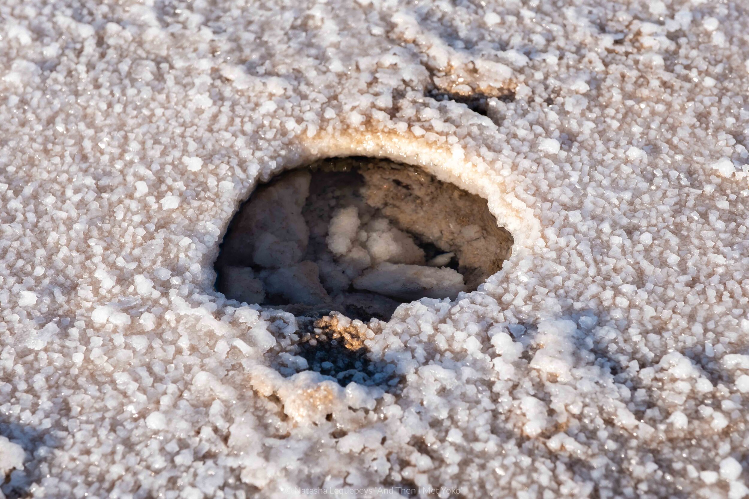 Salt crystals at Badwater Basin - Death Valley, California. Travel photography and guide by © Natasha Lequepeys for "And Then I Met Yoko". #deathvalley #nationalpark #travelblog #travelphotography