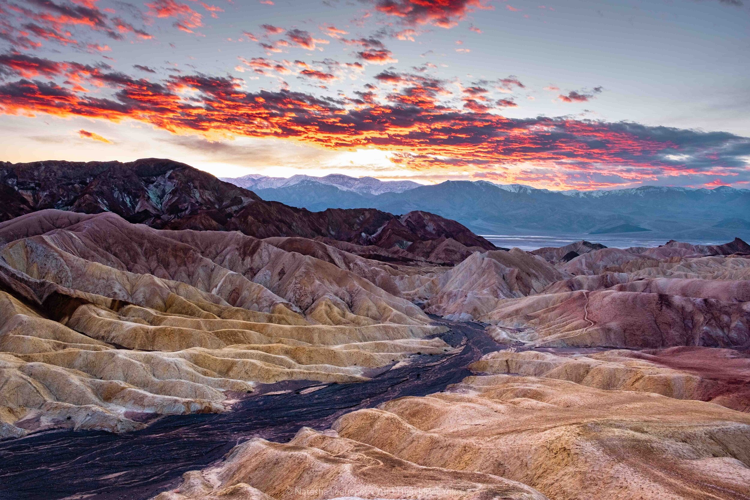 Special Activities  Death Valley '49ers