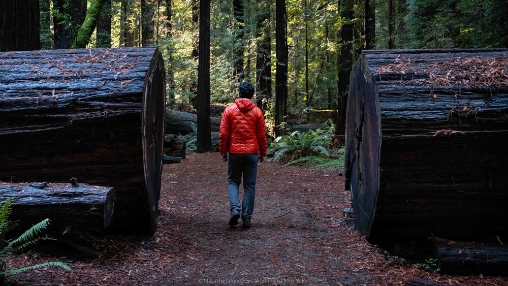 Redwoods hike - California, USA. Travel photography and guide by © Natasha Lequepeys for "And Then I Met Yoko". #california #redwoodnationalpark #travelblog #travelphotography