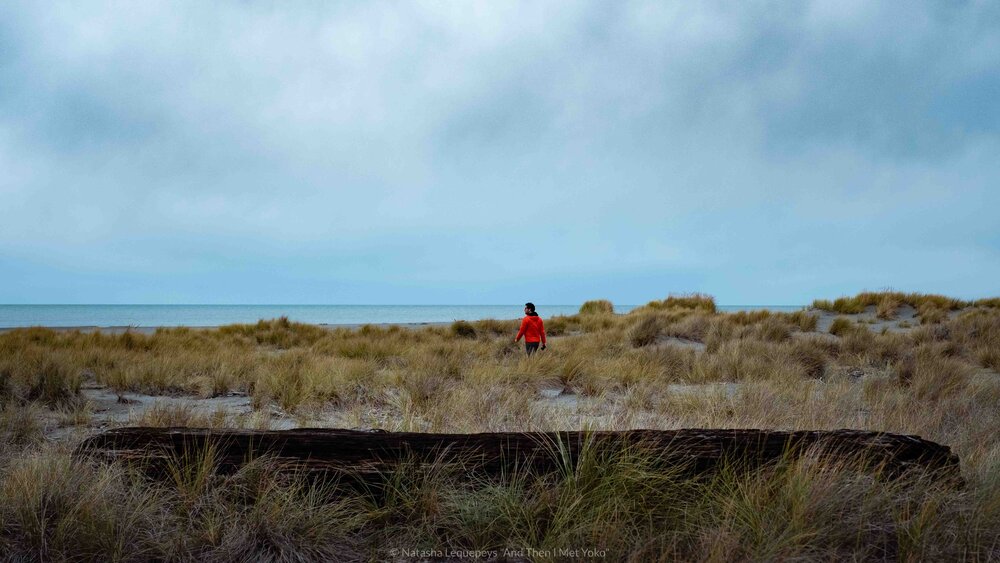 Gold Bluffs Beach - Redwoods National Park. Travel photography and guide by © Natasha Lequepeys for "And Then I Met Yoko". #california #redwoodnationalpark #travelblog #travelphotography