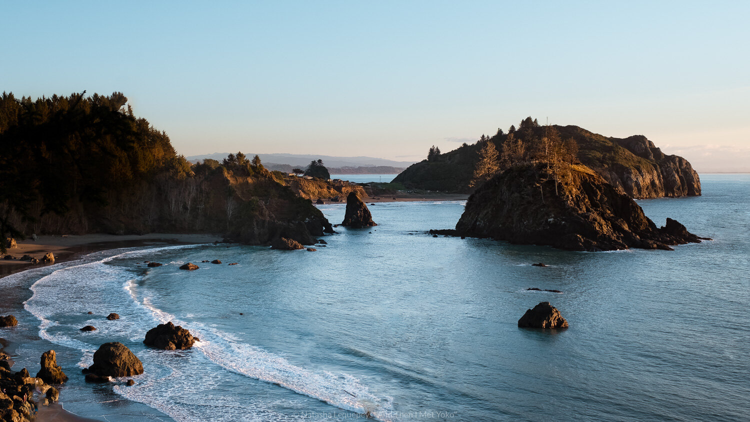 Northern California Coastal Redwoods