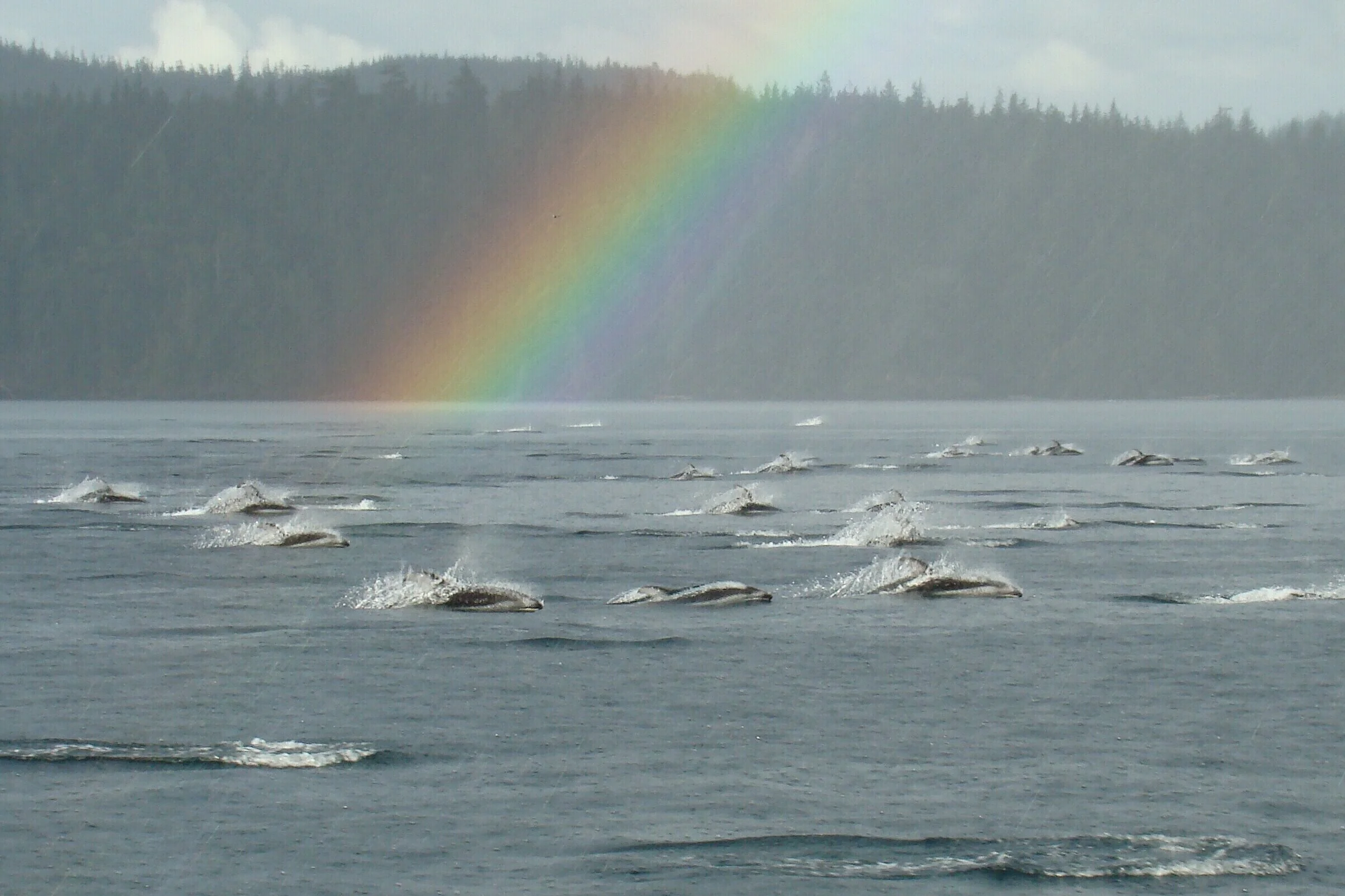 DSC09557crprint2matt 5x7wm.JPG