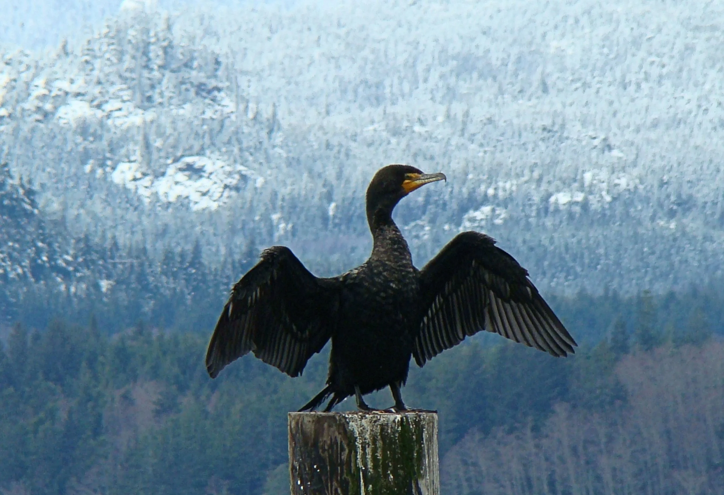 1-DSC03669 5x7wm.JPG