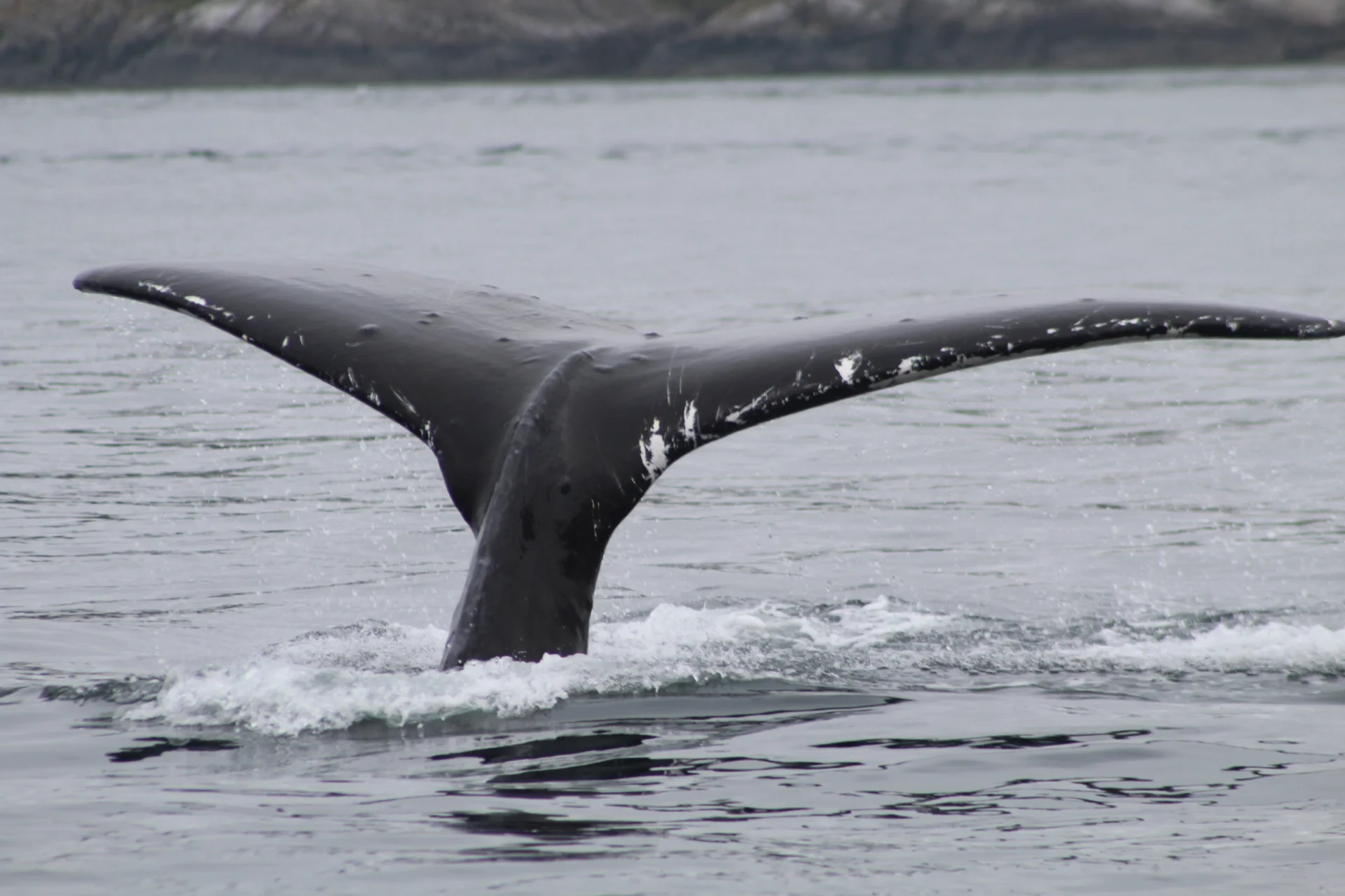 A Family Day on the Water