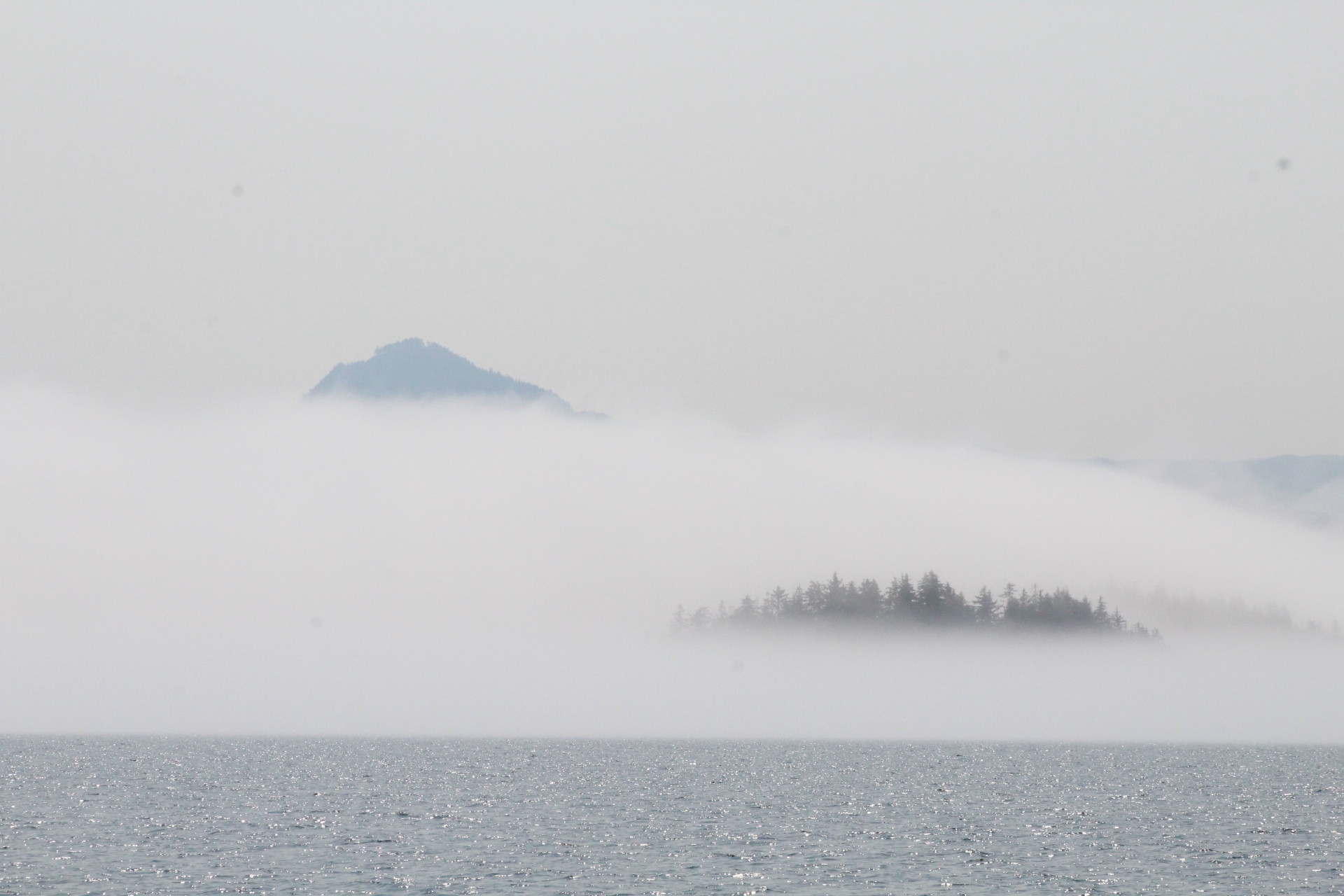 Finding Whales in the Fog