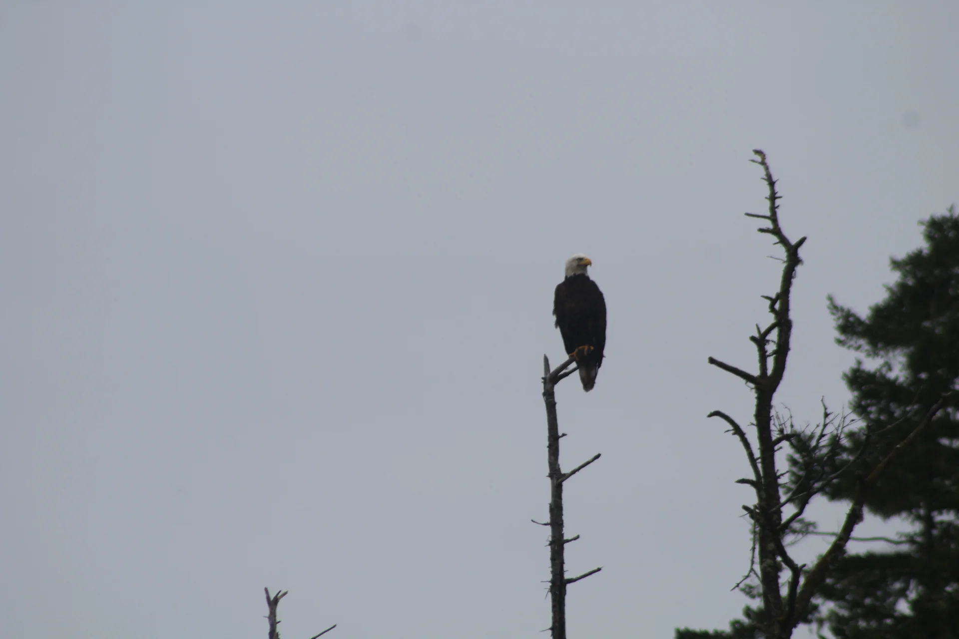 Abundant Sea under an Overcast Sky