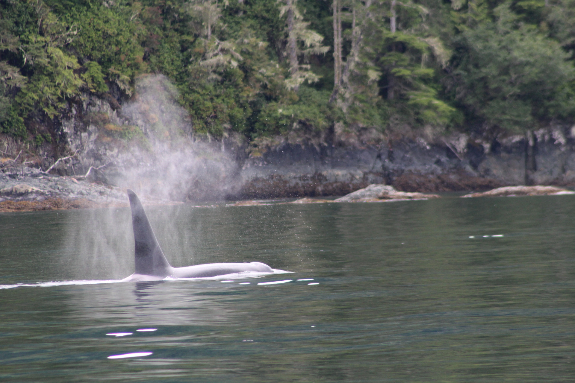 The Wonders of our Backyard