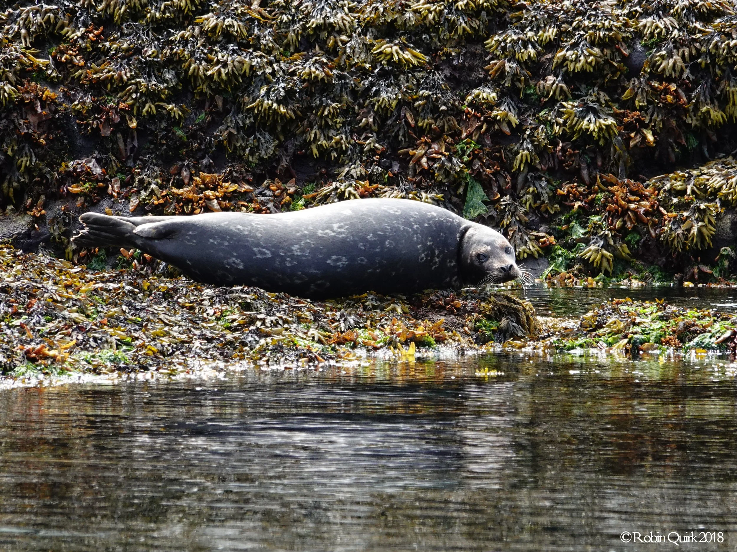 Special Feature - Photo Collection by Robin Quirk