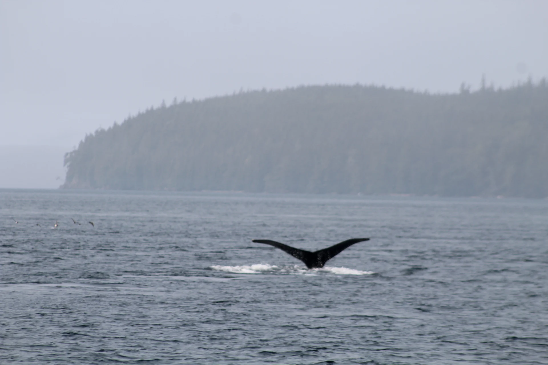 A Big Day on the Water