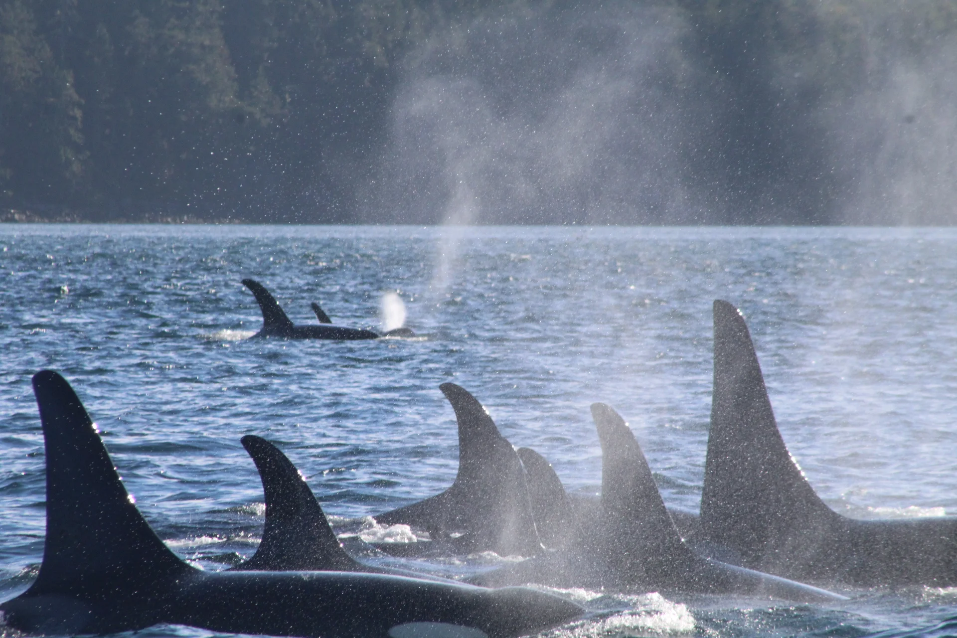 Rich and Powerful, Majestic and Beautiful