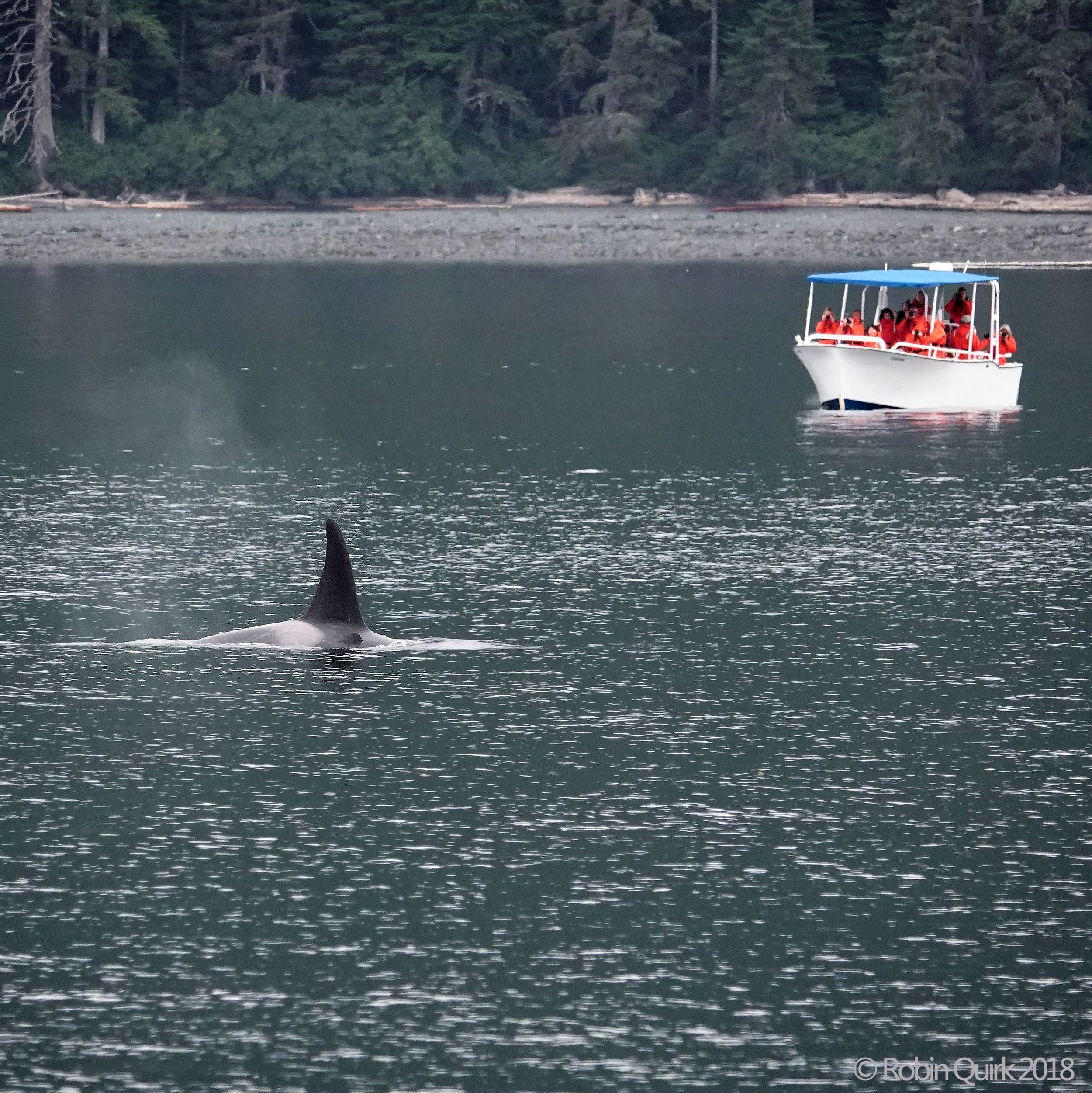 Soaking in the Beauty