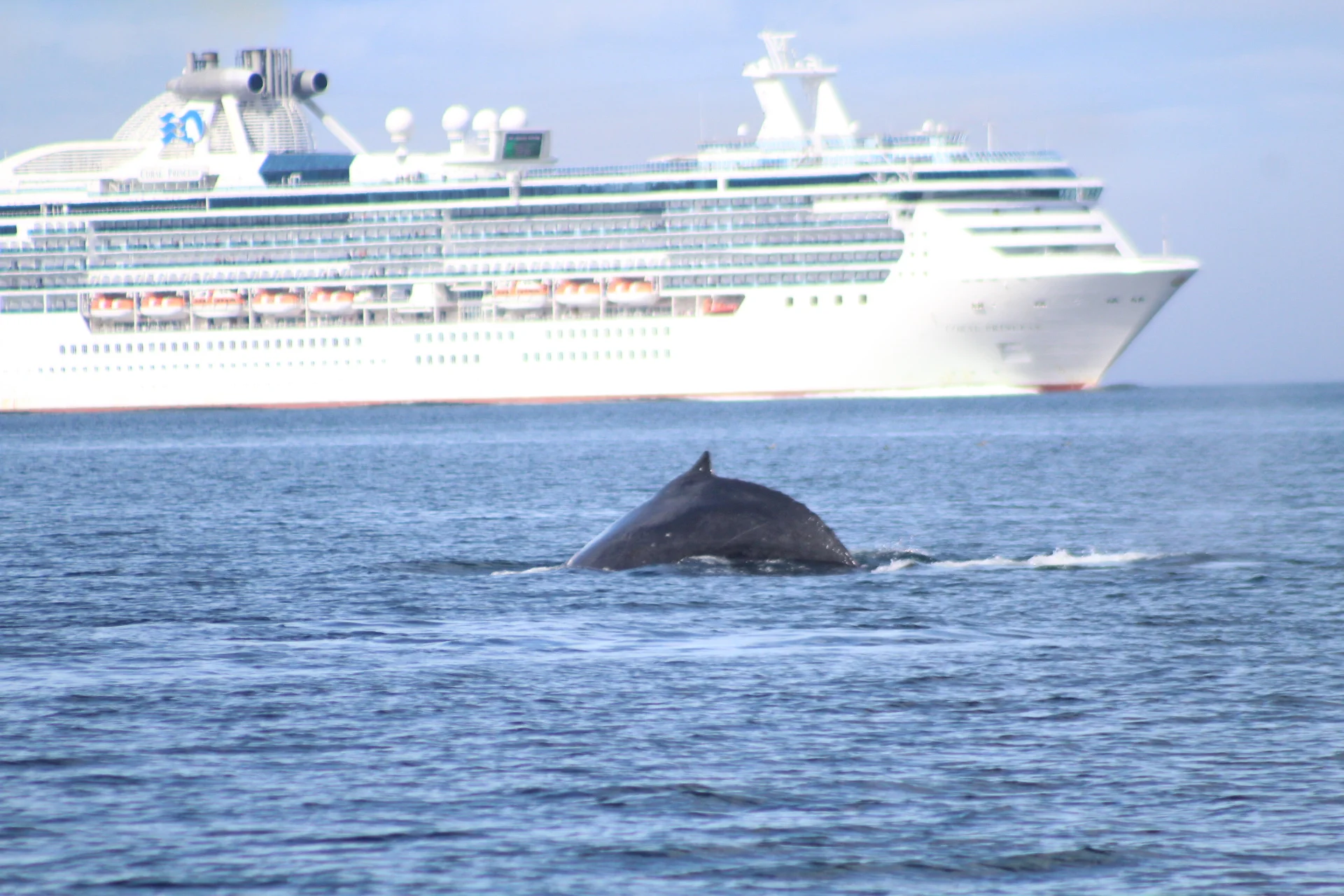 Keen Eyes on the Water that is Filled with Surprises