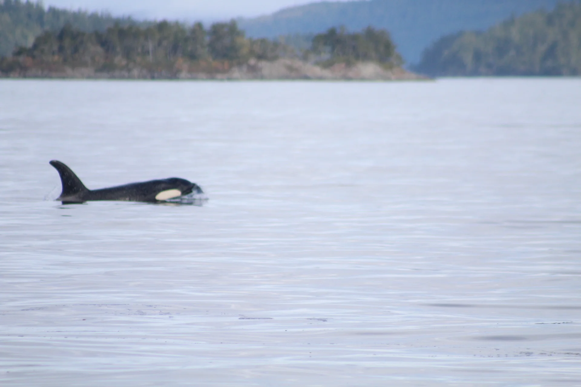 Beauty and Abundance Abounds