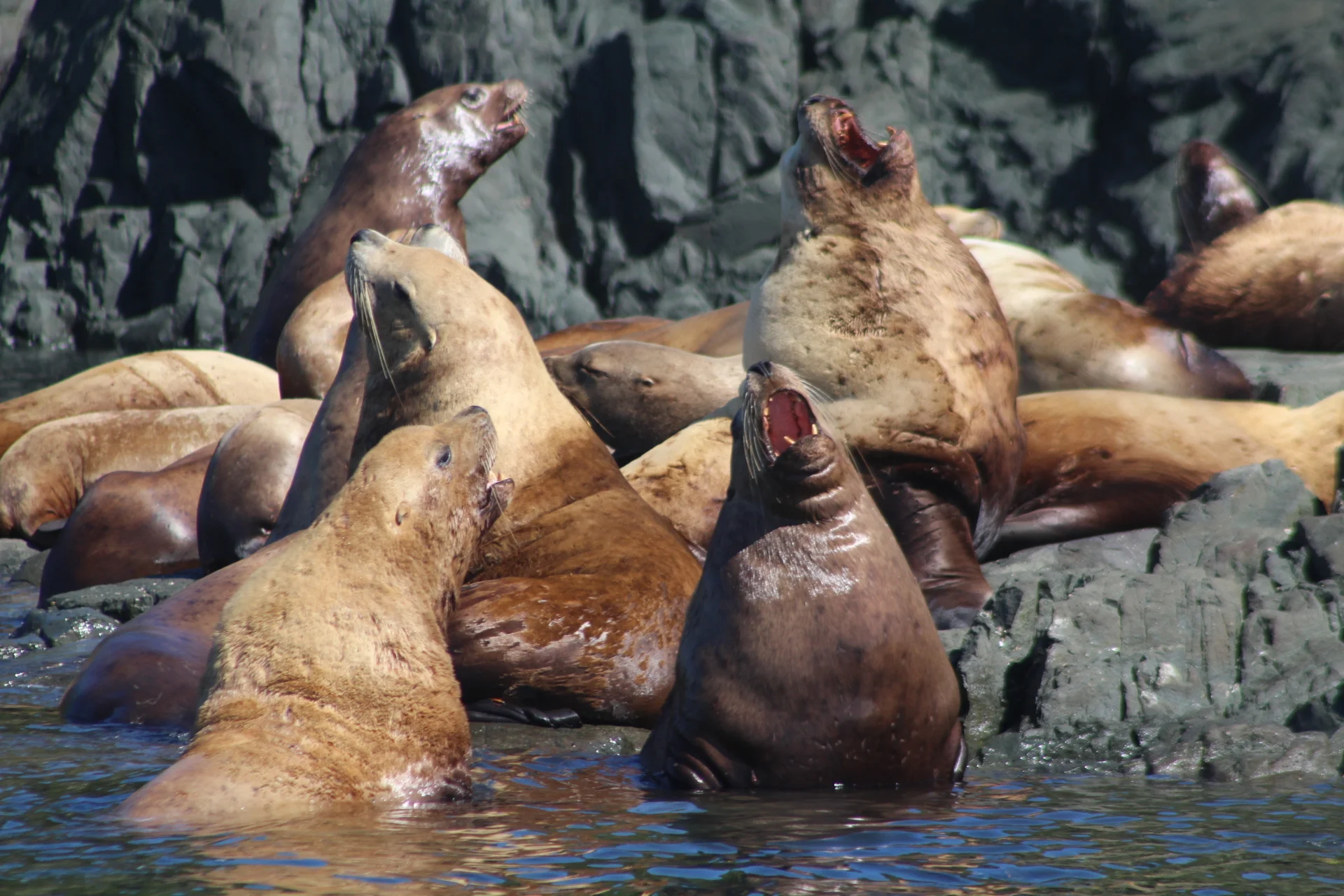 The Boys are Back in Town