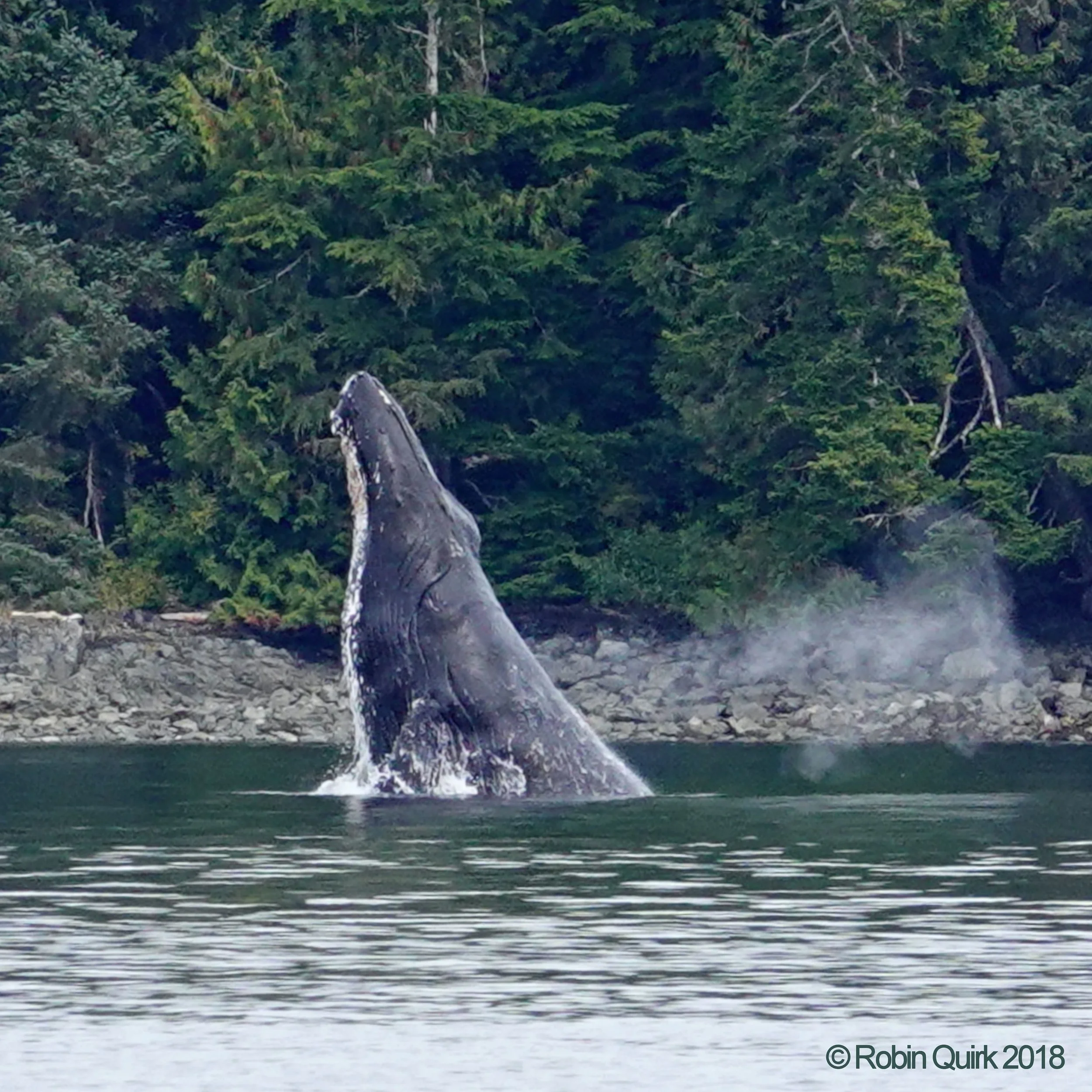 An Adventurous day...