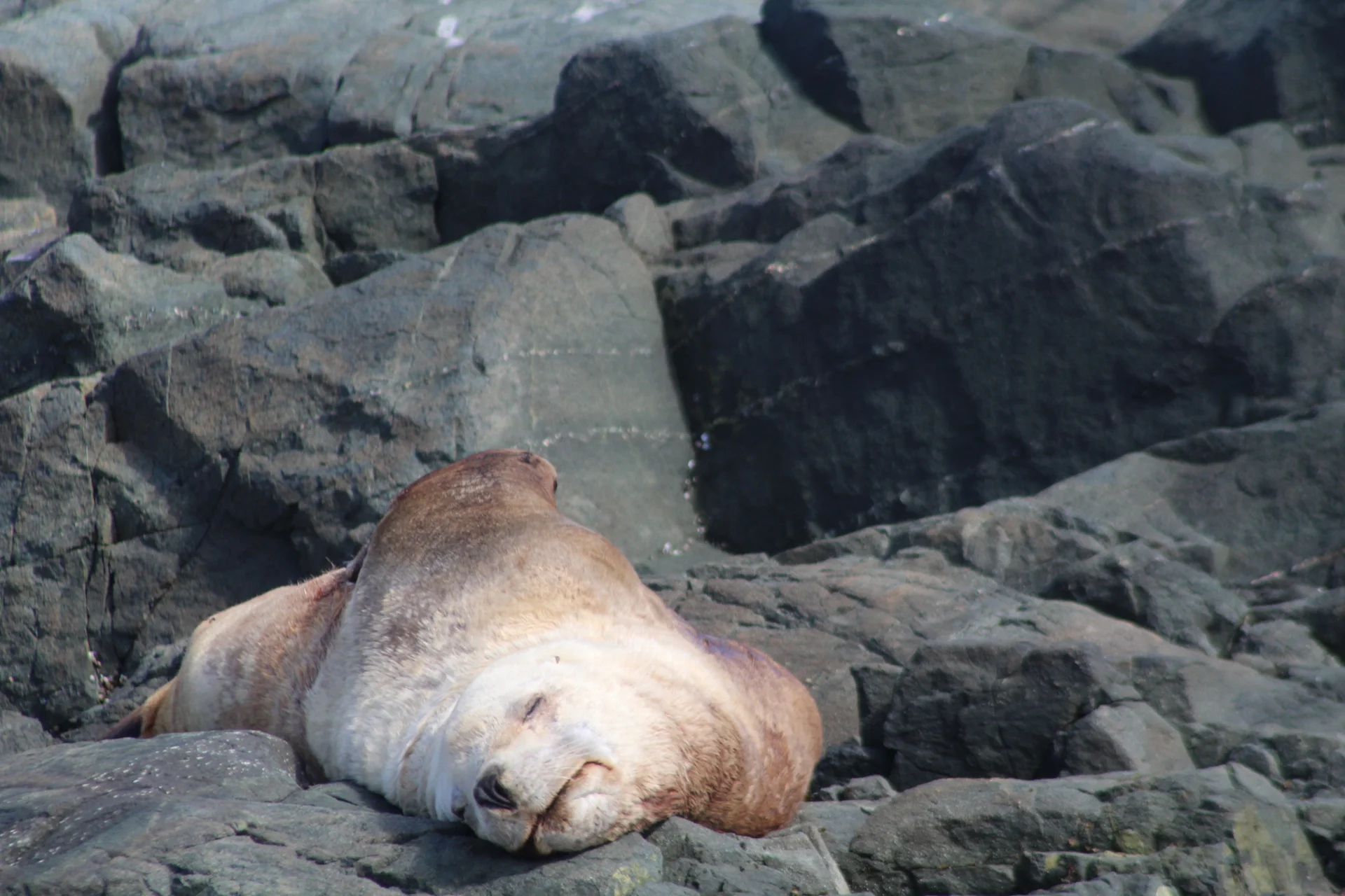 A Stunning First Day in September