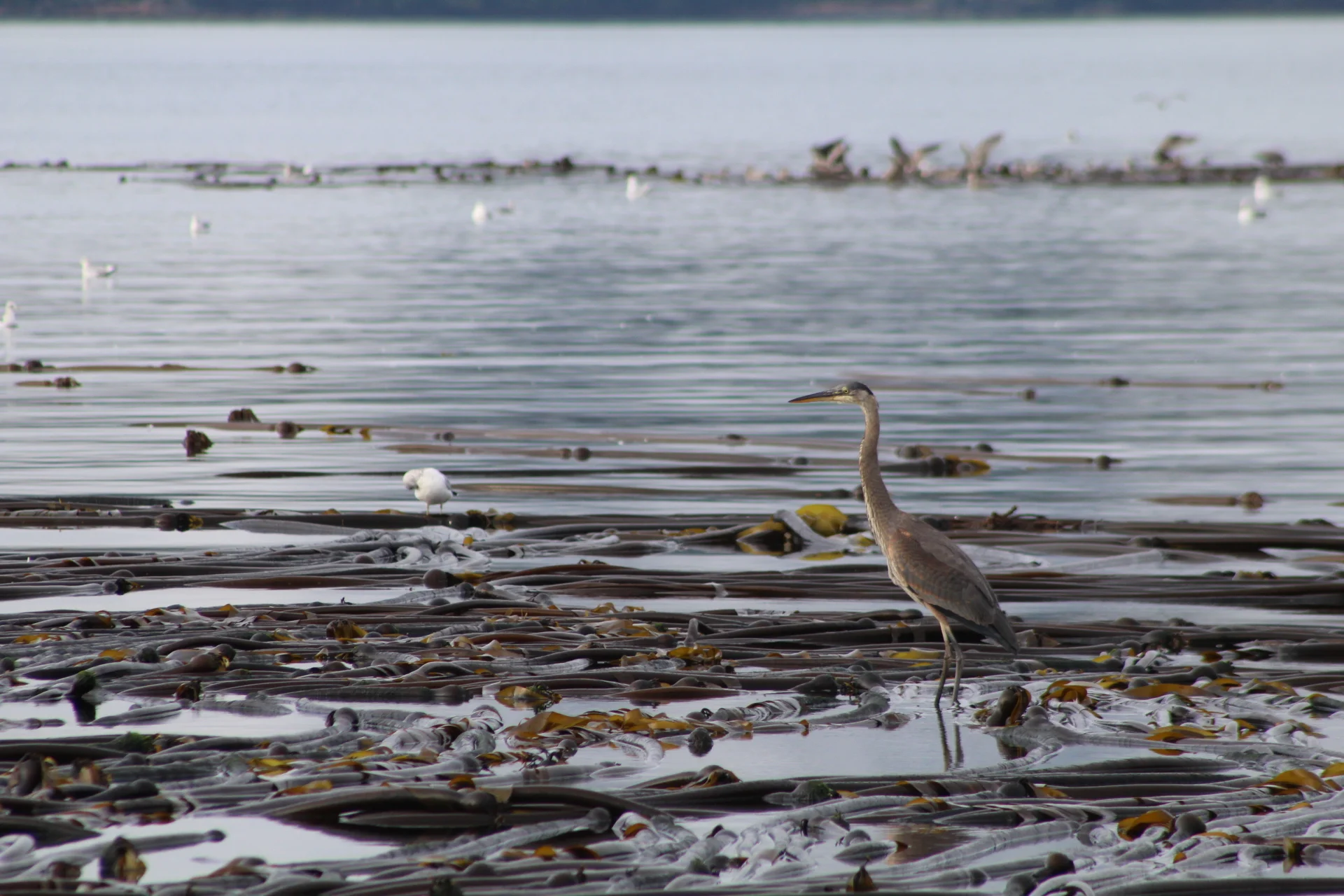 Breathtaking sights and sounds!