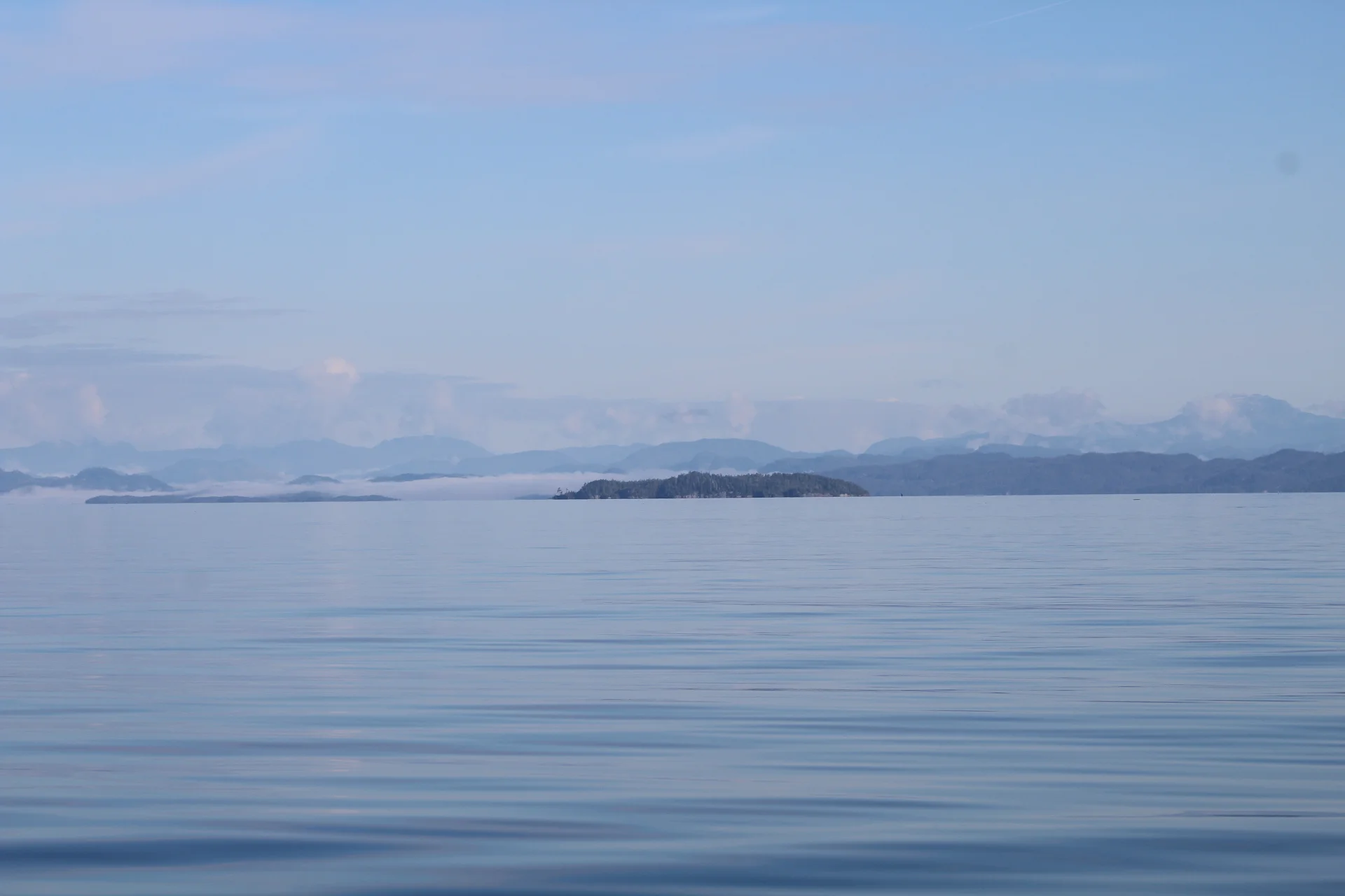 Magic in the making!