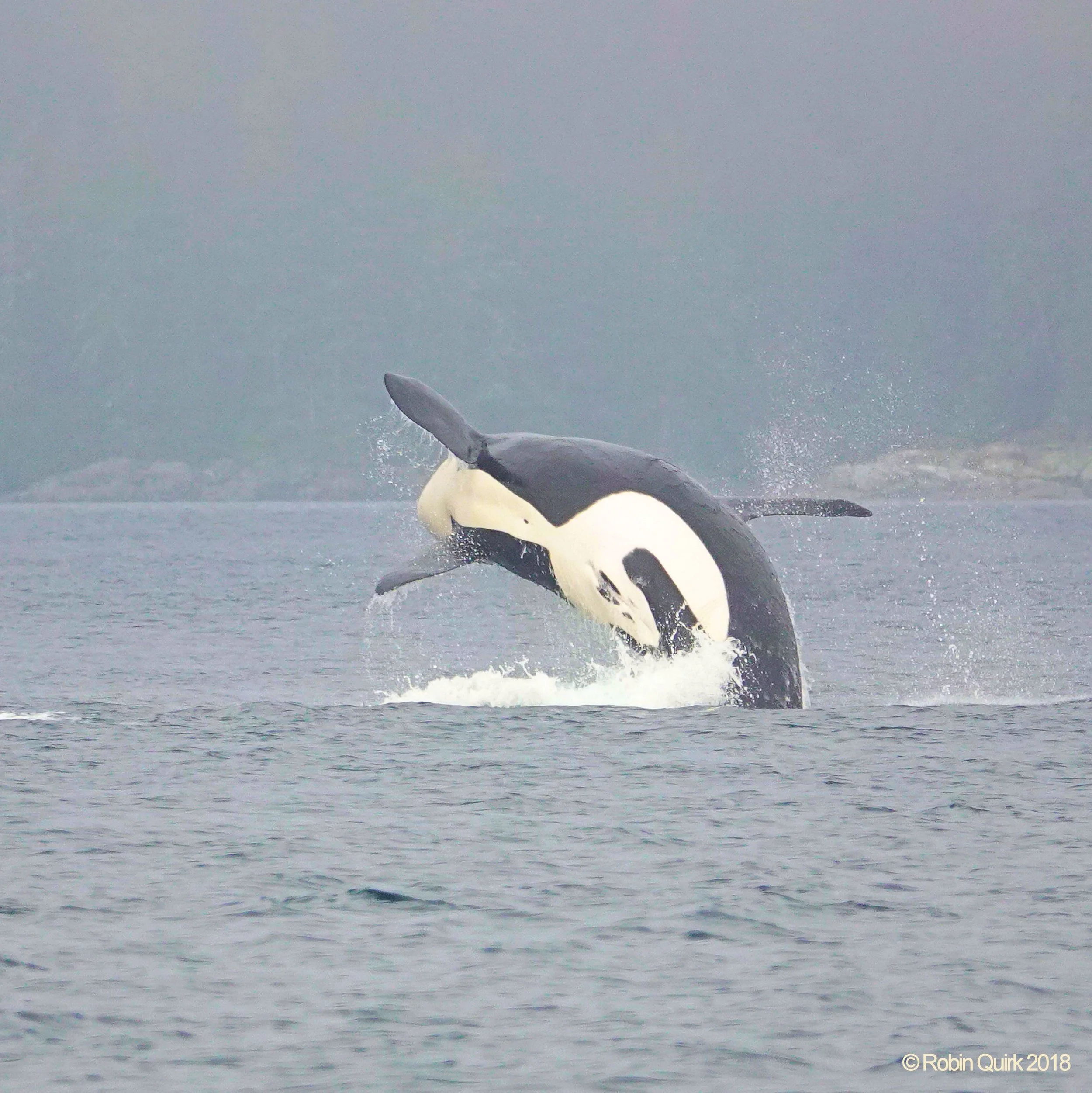 A Day of Greatness and Gratitude - September 24th