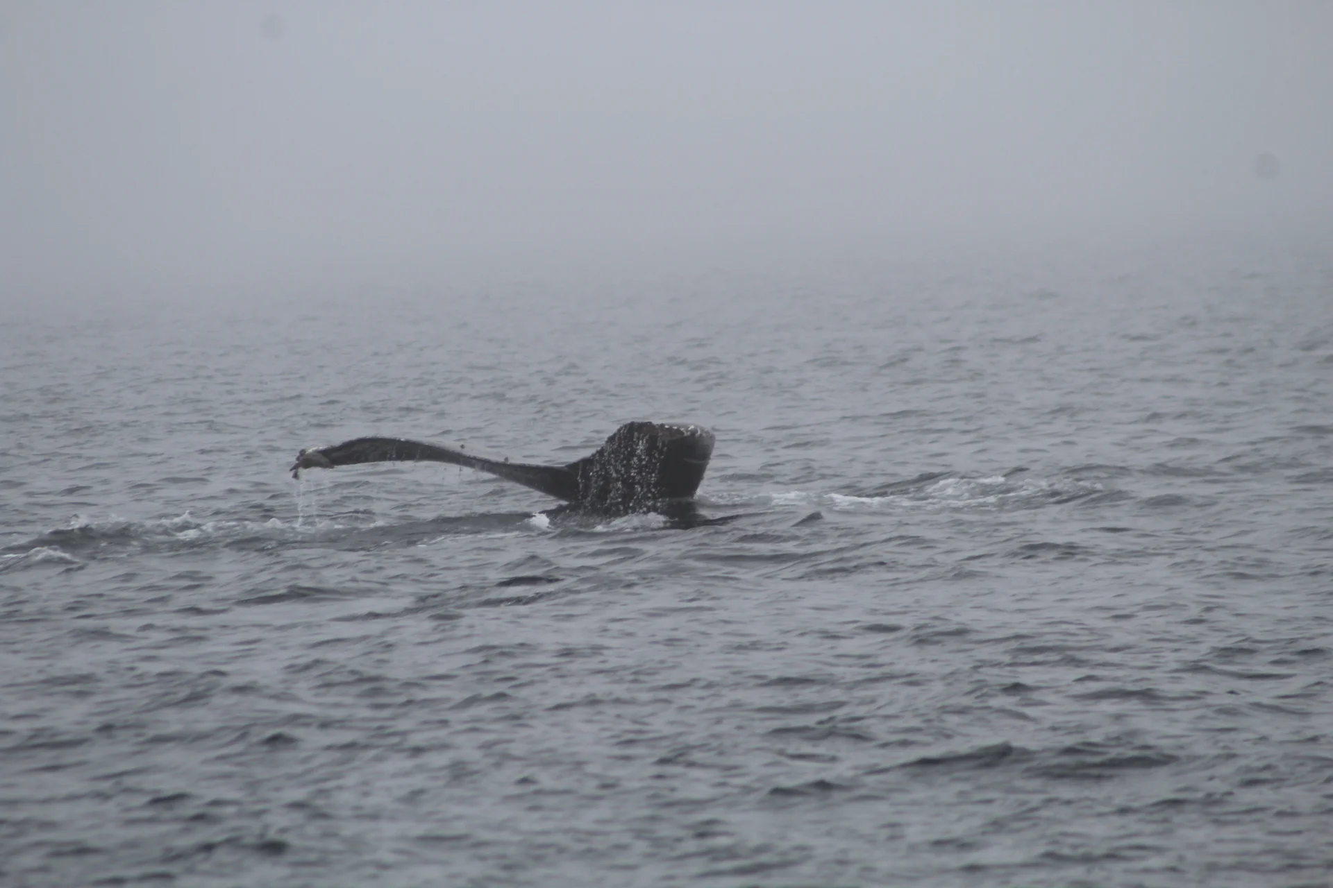 Grandeur and Beauty for our Final Tour