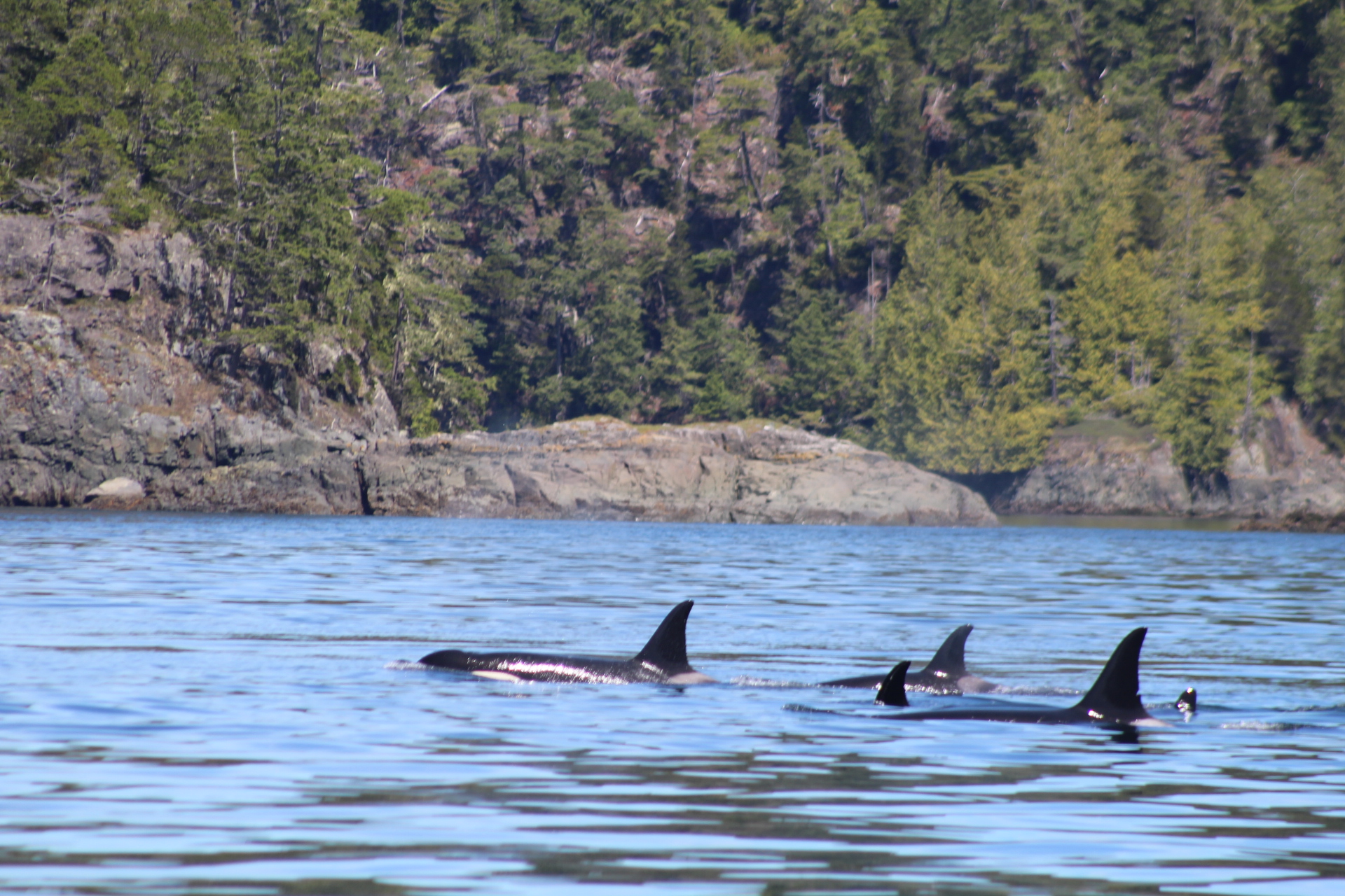 Residents throughout the day